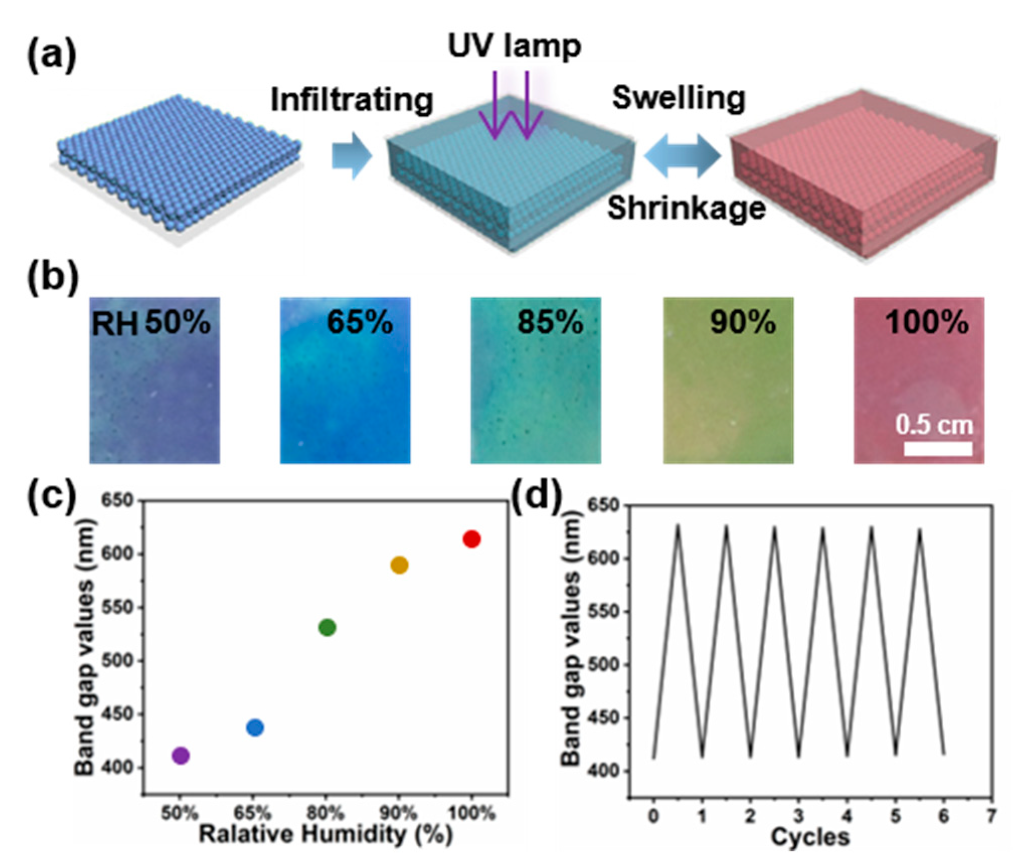 Coatings 14 01177 g004