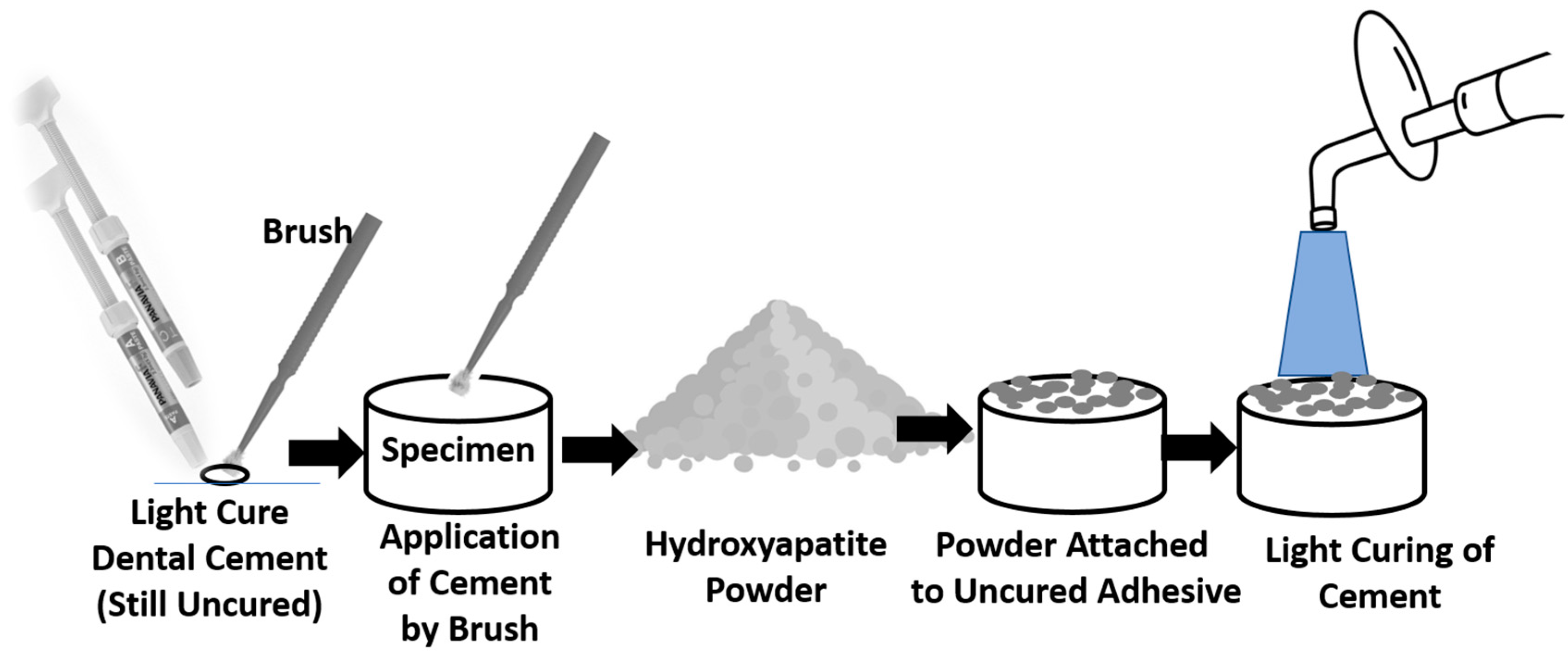 Coatings 14 01181 g001