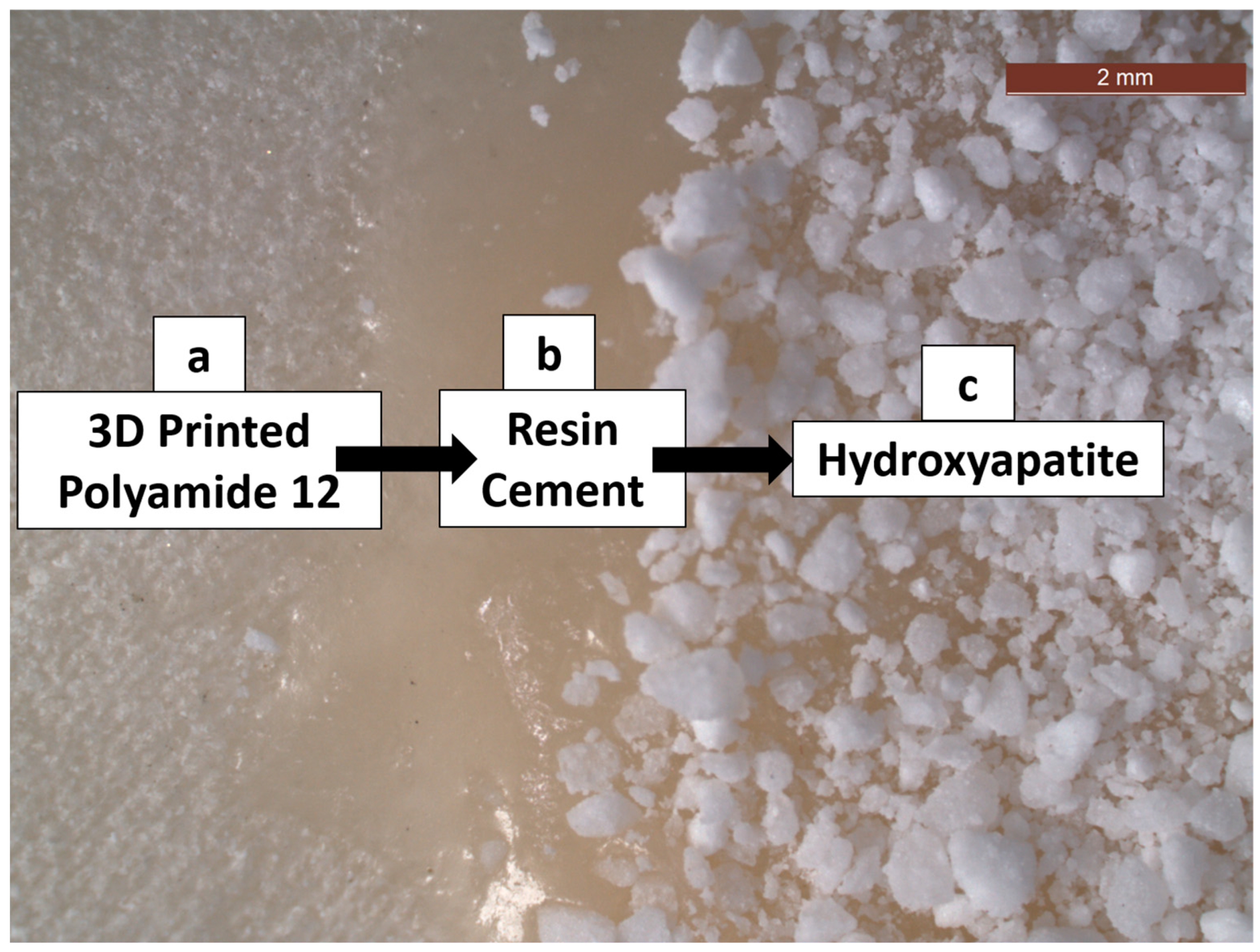 Coatings 14 01181 g002