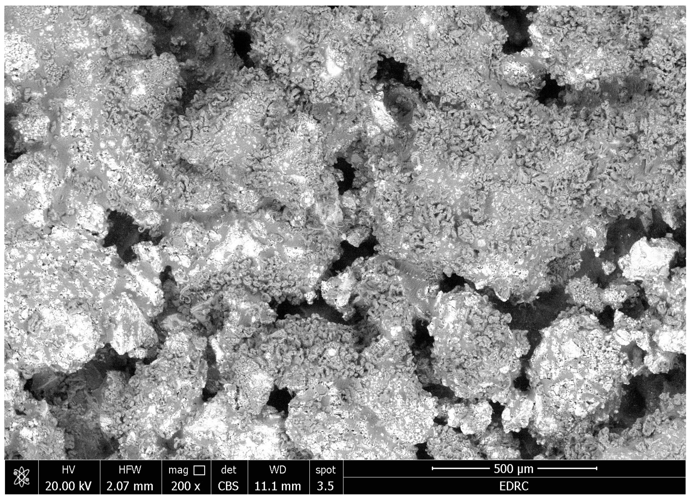 Coatings 14 01181 g010