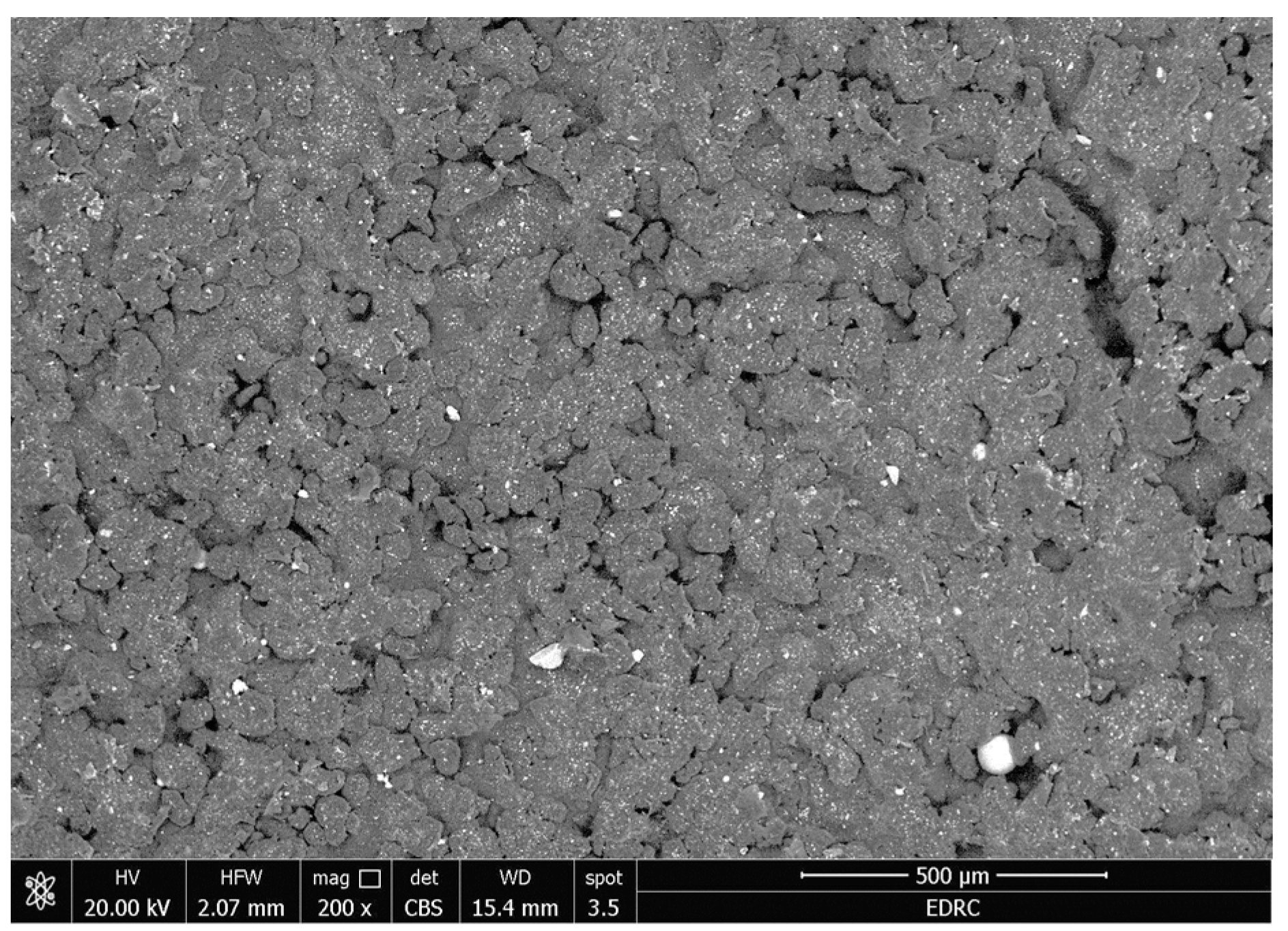 Coatings 14 01181 g012