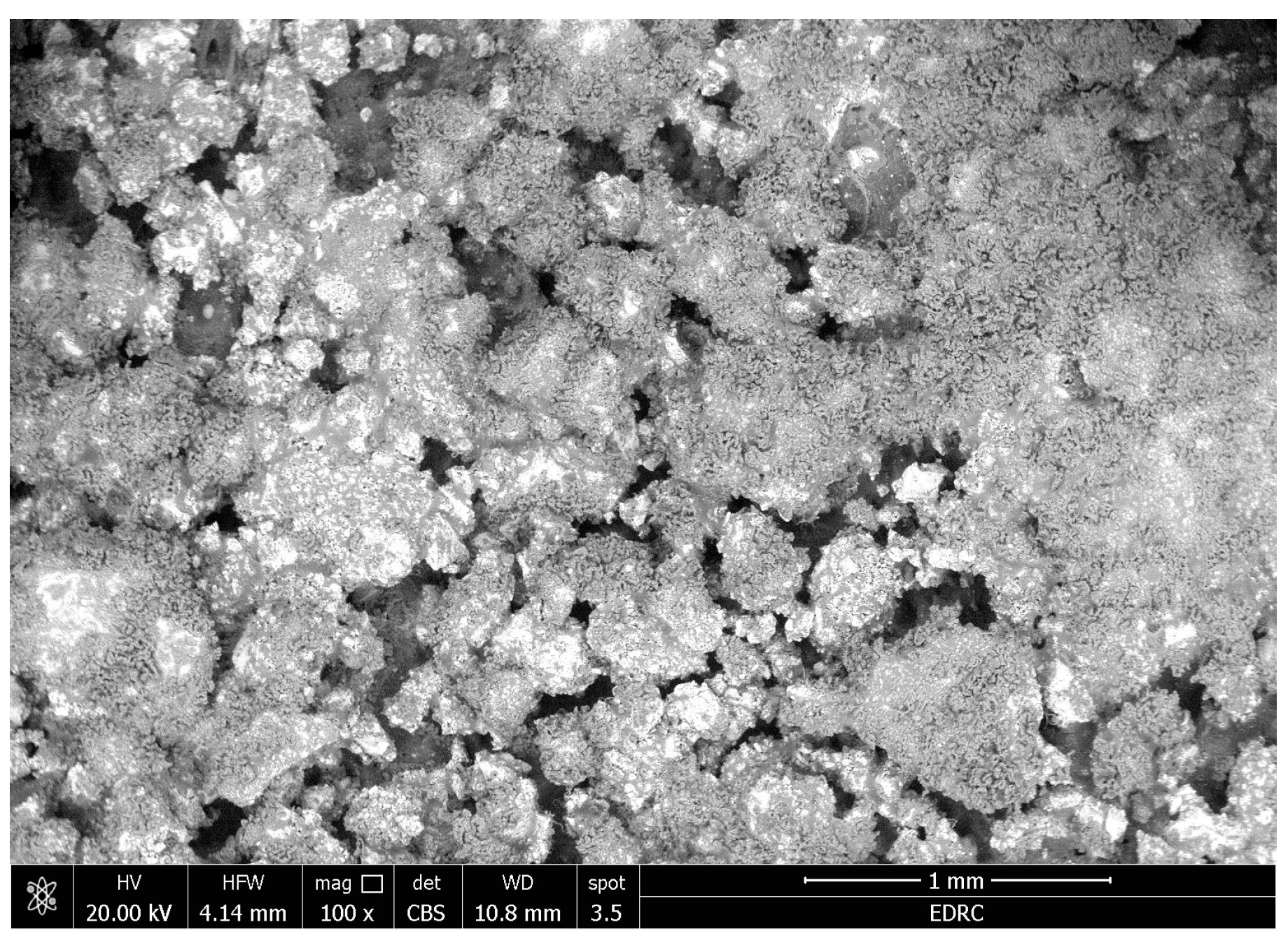 Coatings 14 01181 g014