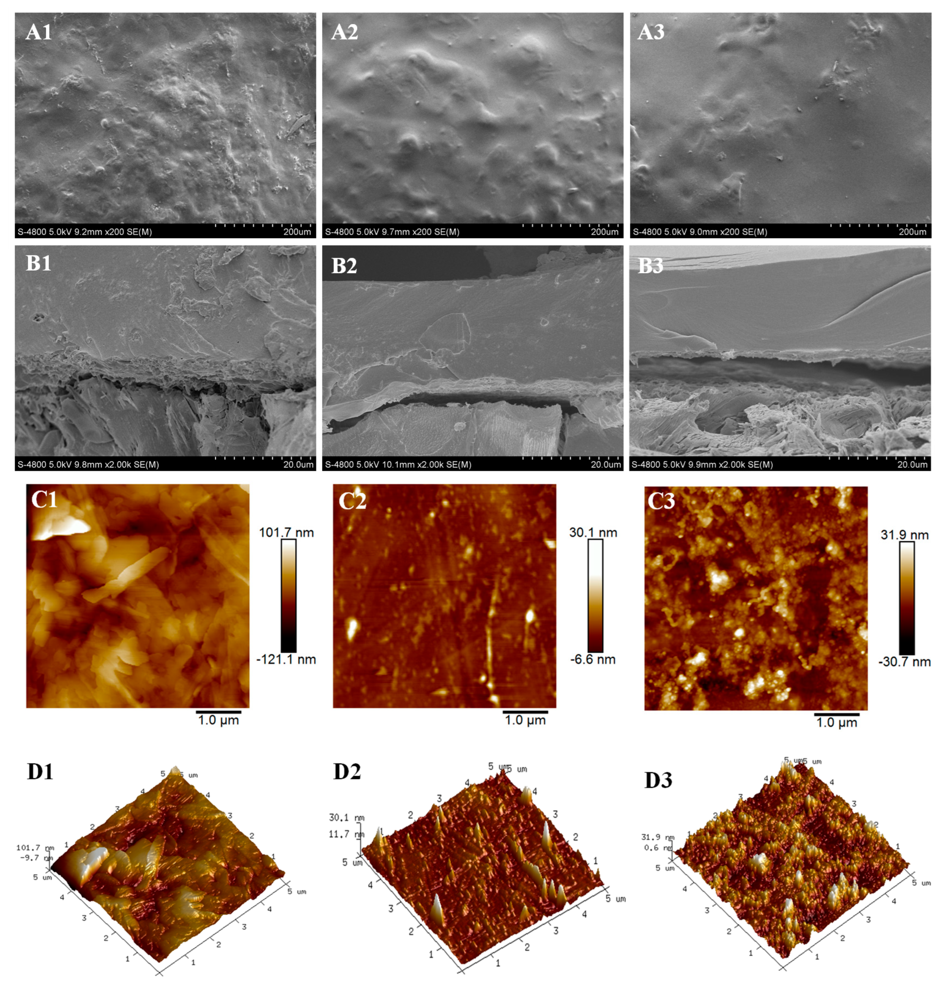 Coatings 14 01183 g004