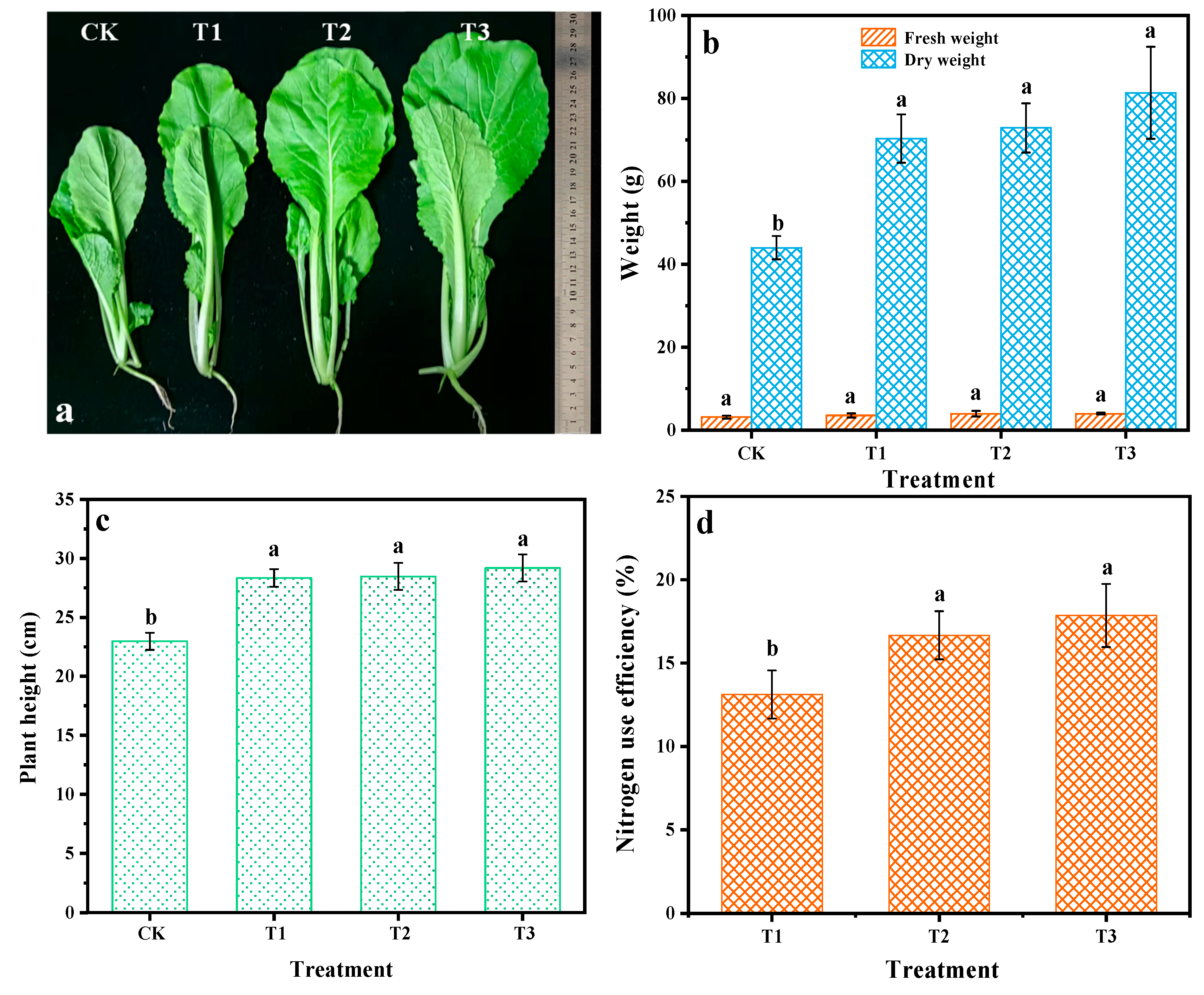 Coatings 14 01183 g006