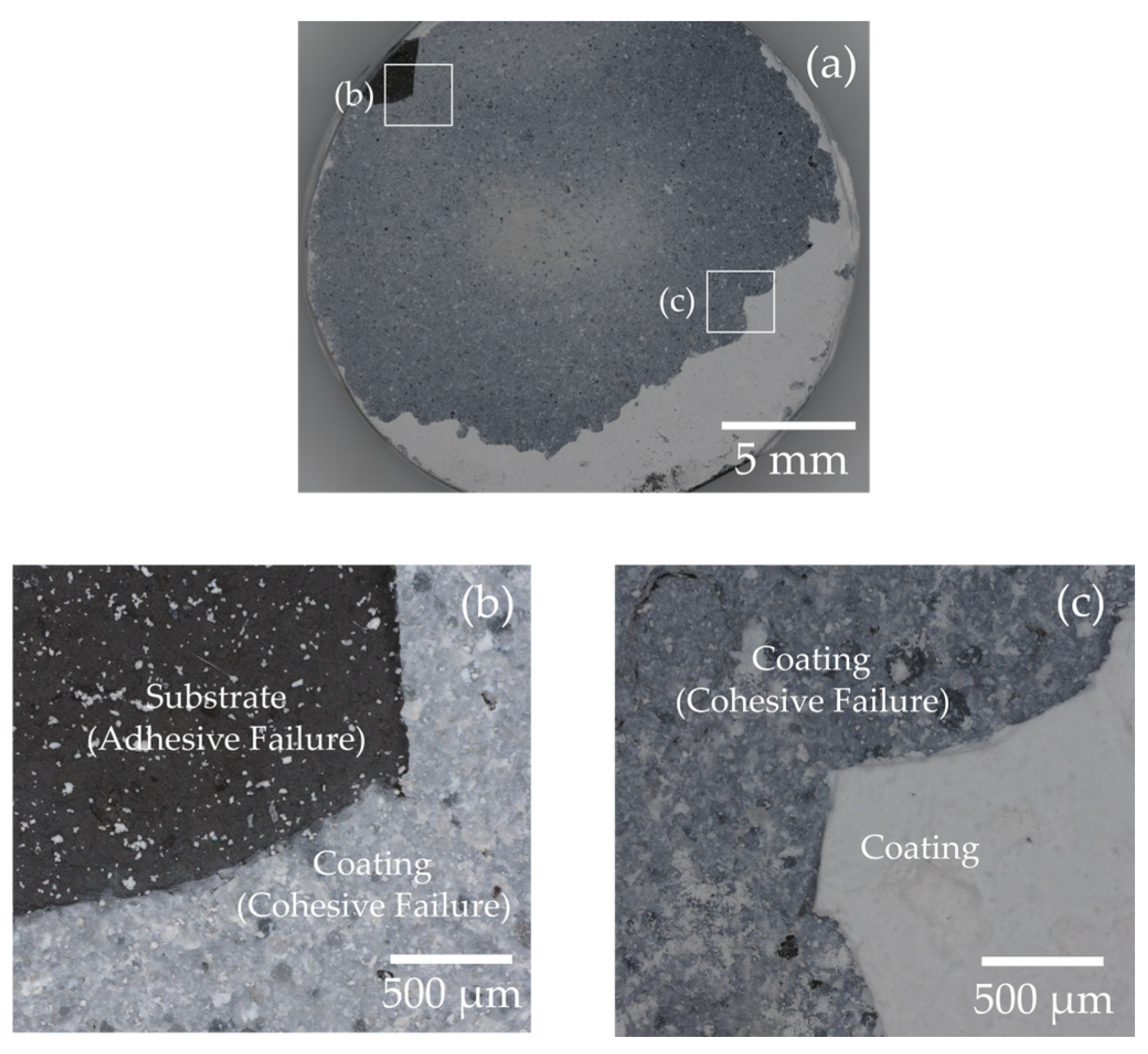 Coatings 14 01186 g009