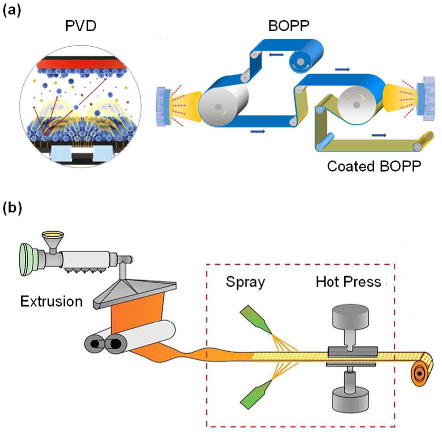 Coatings 14 01193 g005