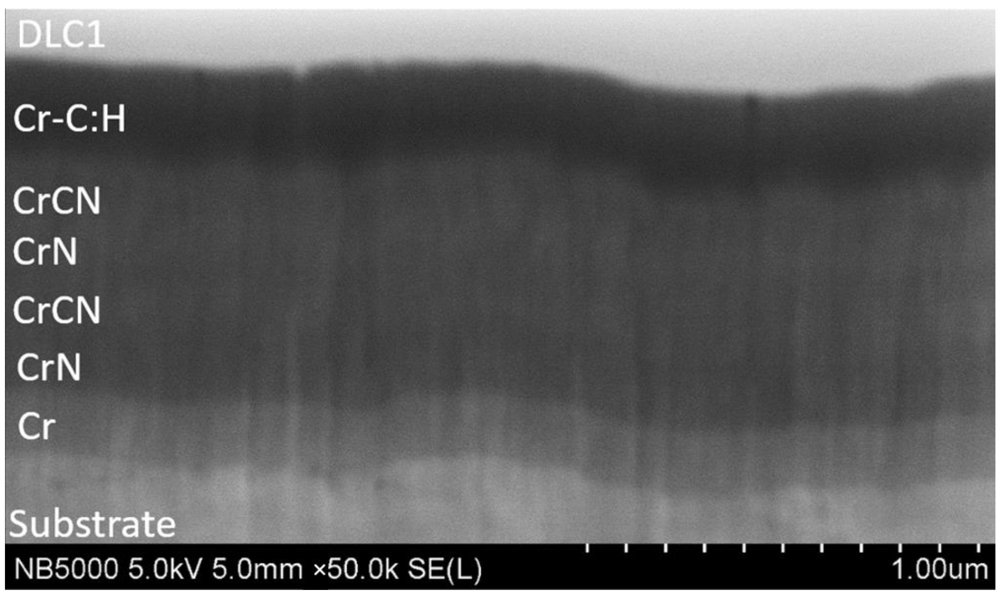 Coatings 14 01195 g003