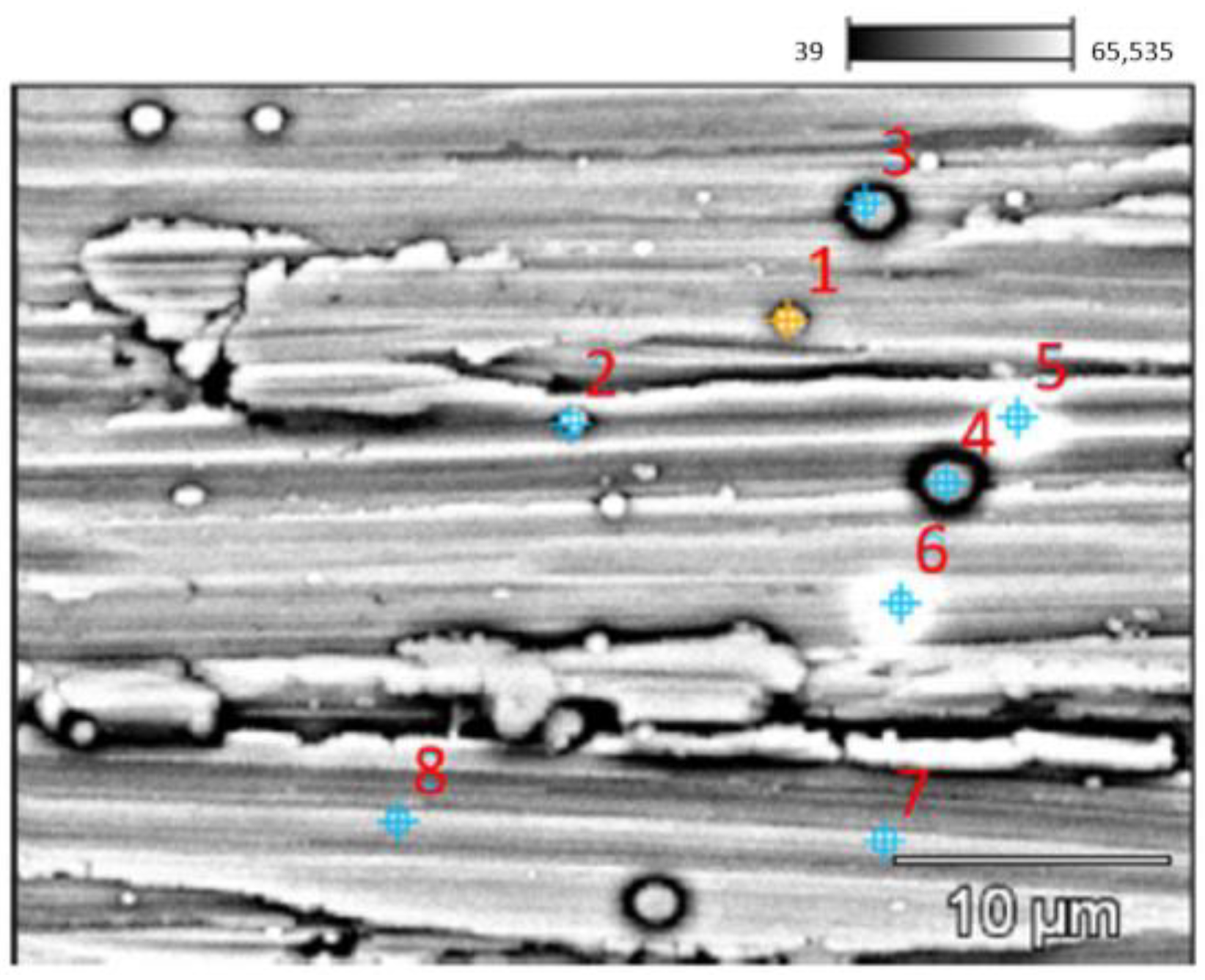 Coatings 14 01195 g007