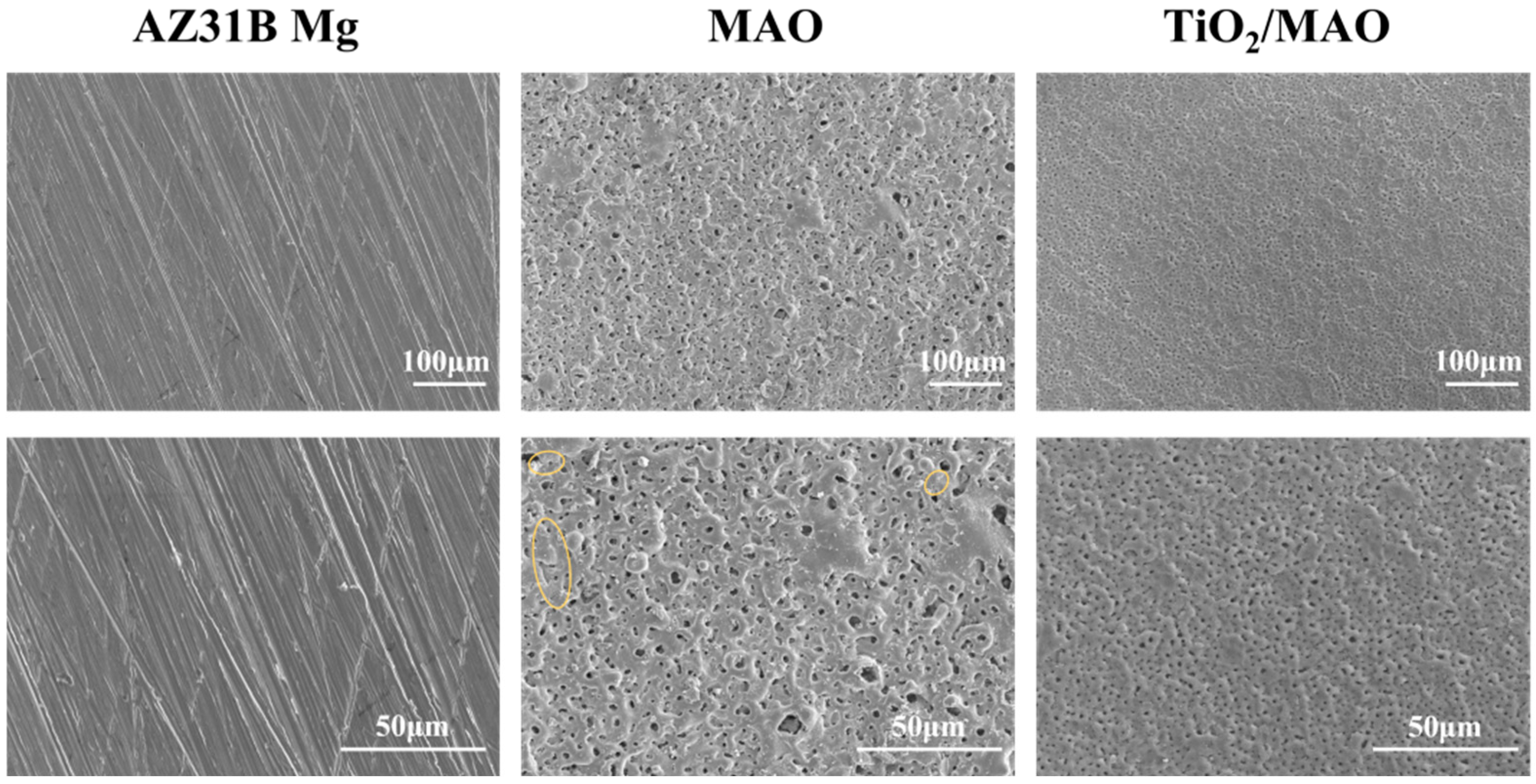 Coatings 14 01198 g002