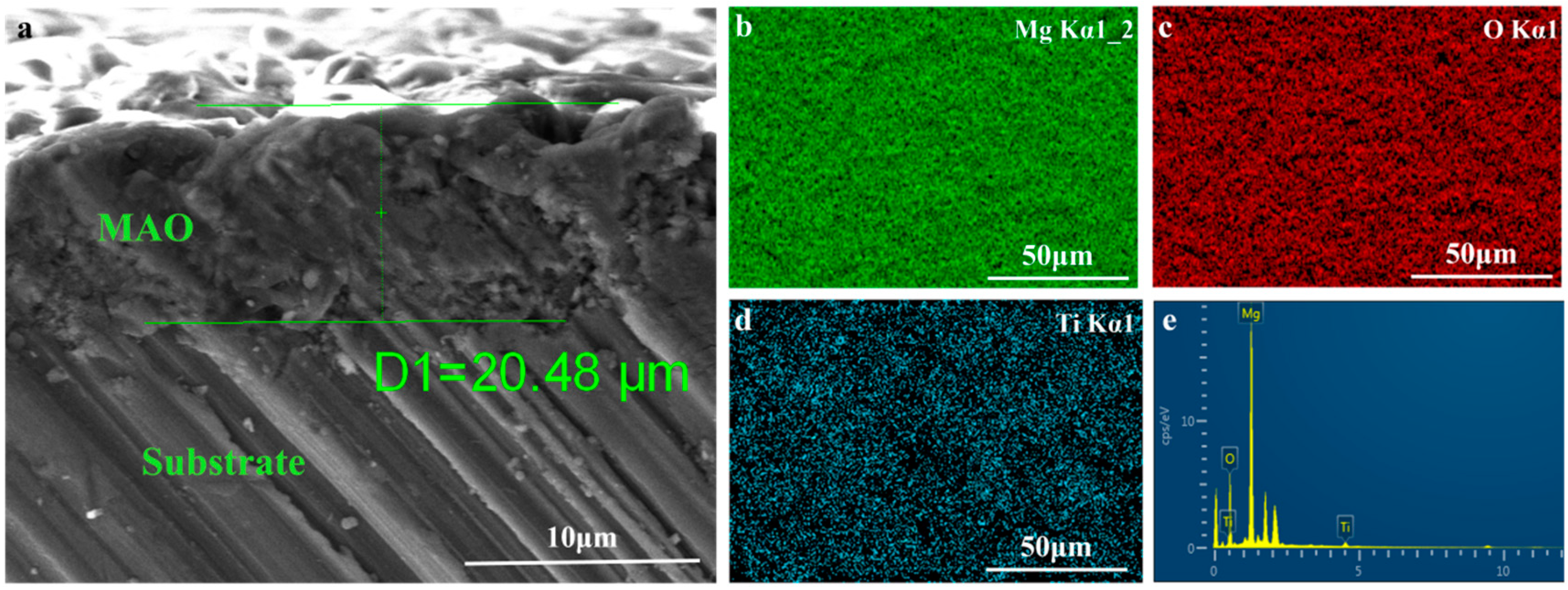 Coatings 14 01198 g003
