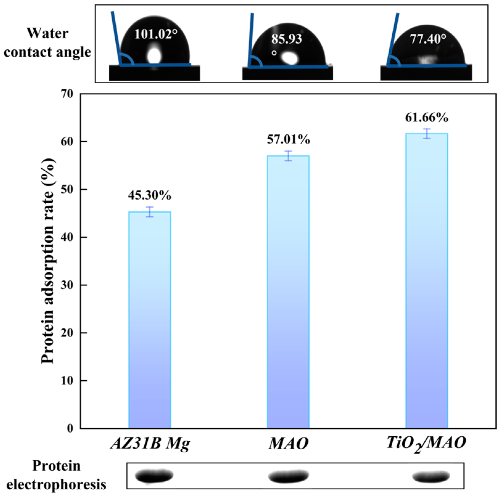 Coatings 14 01198 g008