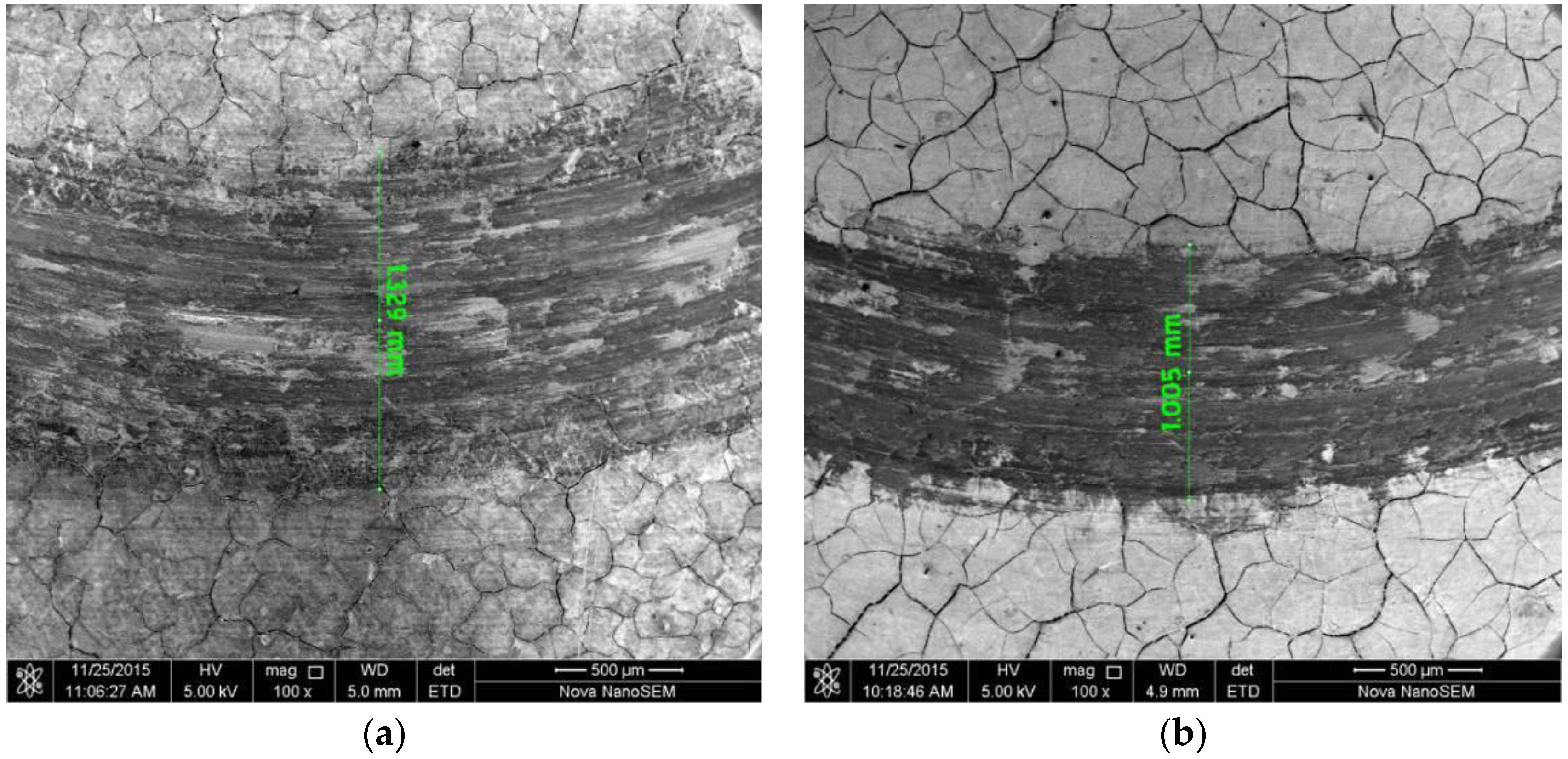 Coatings 14 01200 g006