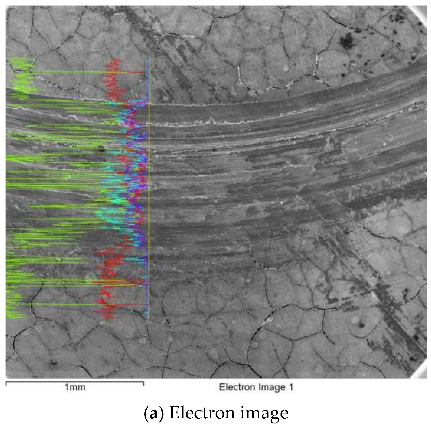 Coatings 14 01200 g007a