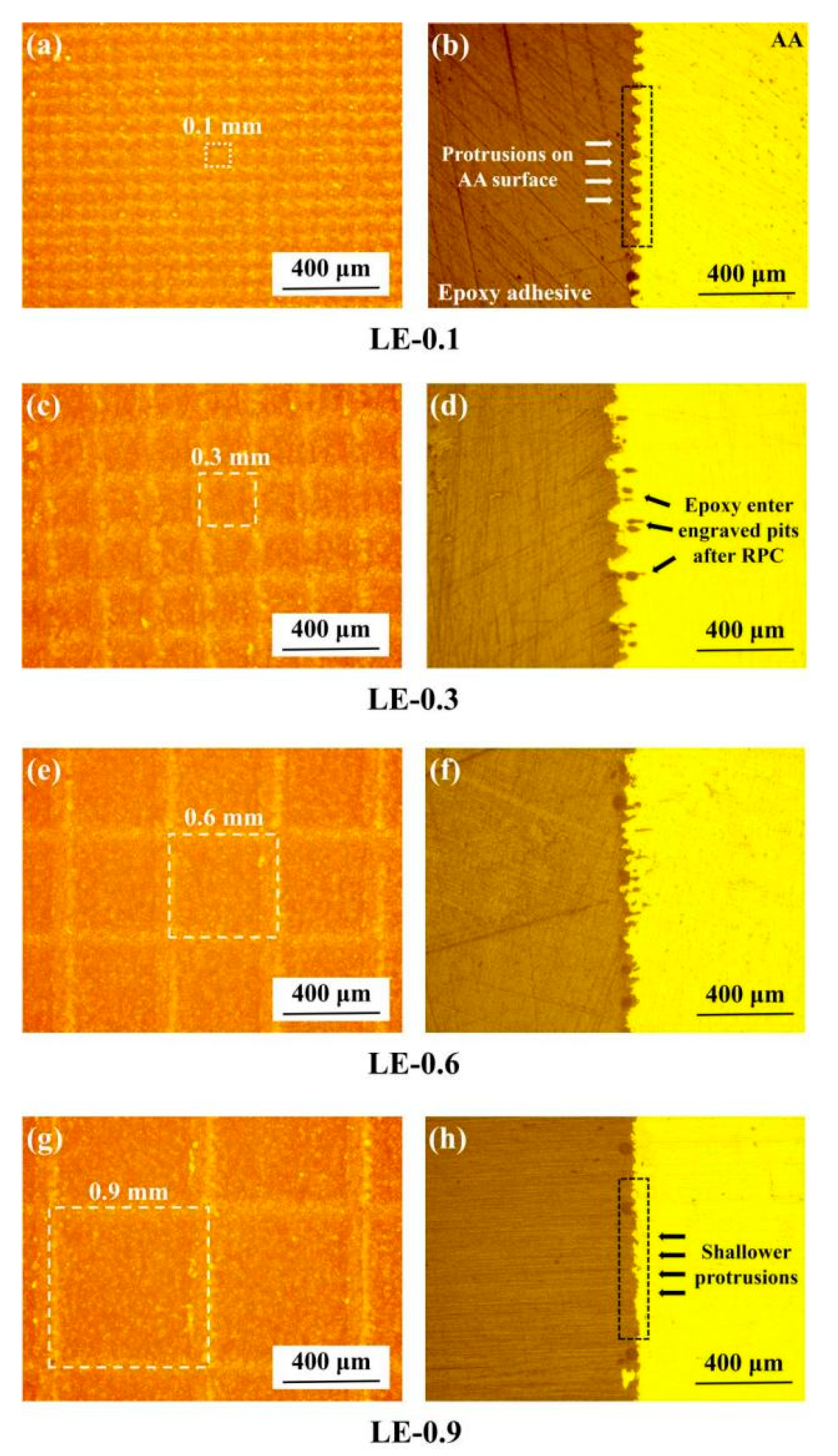 Coatings 14 01201 g003