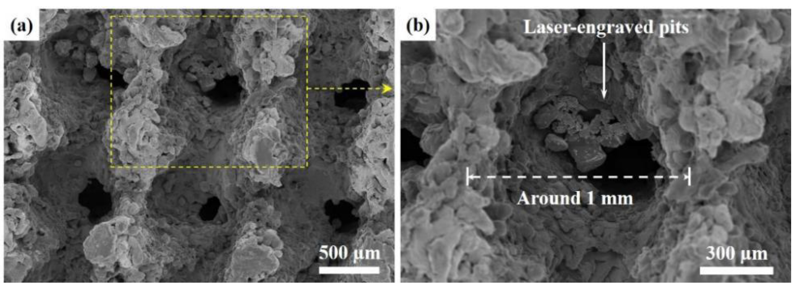 Coatings 14 01201 g004