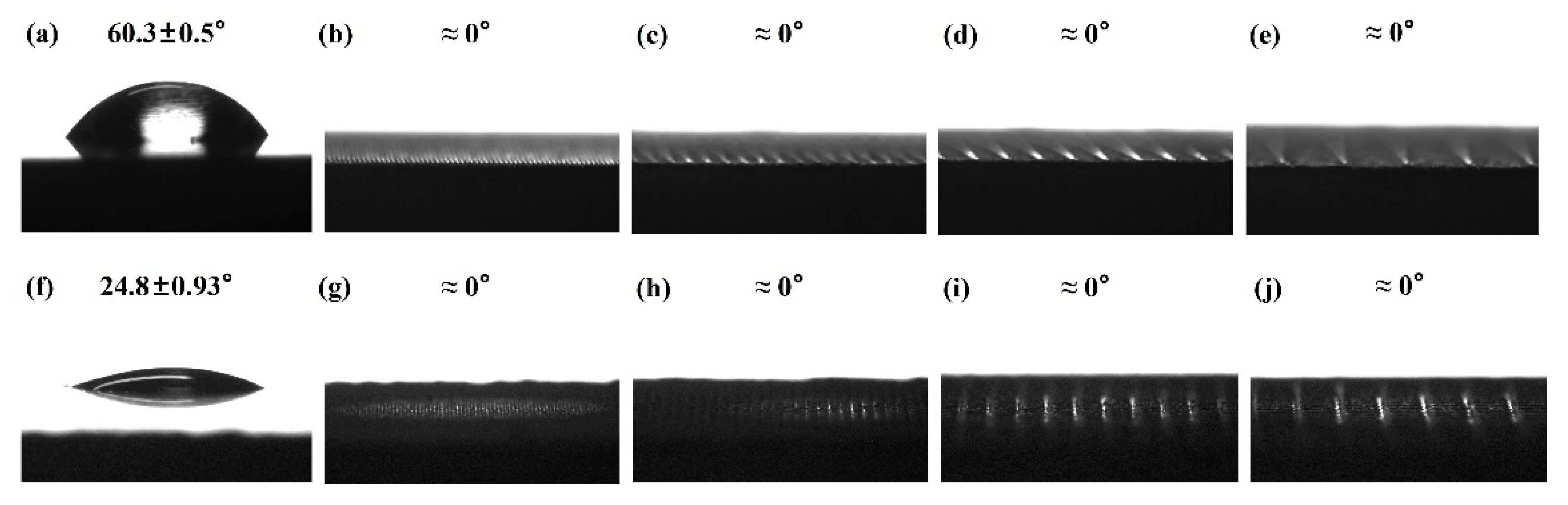 Coatings 14 01201 g007