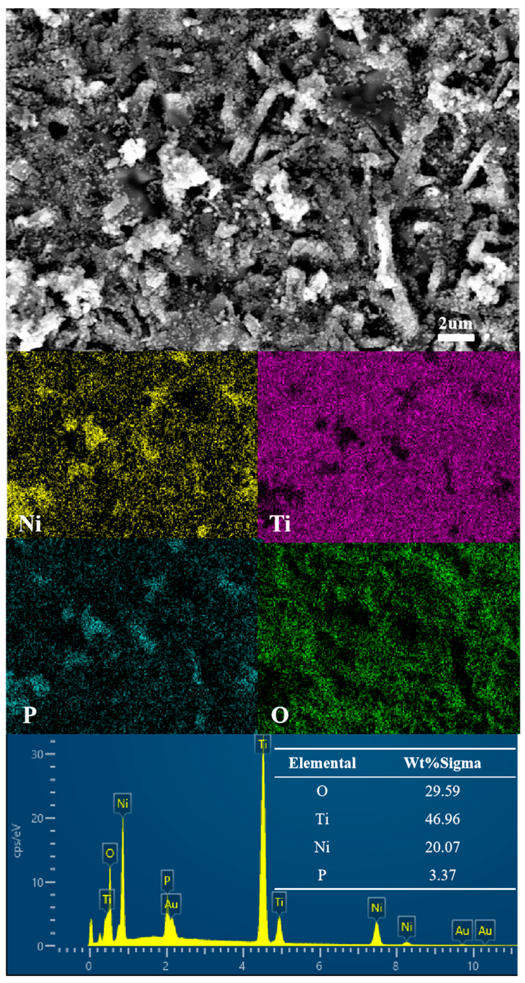 Coatings 14 01203 g005