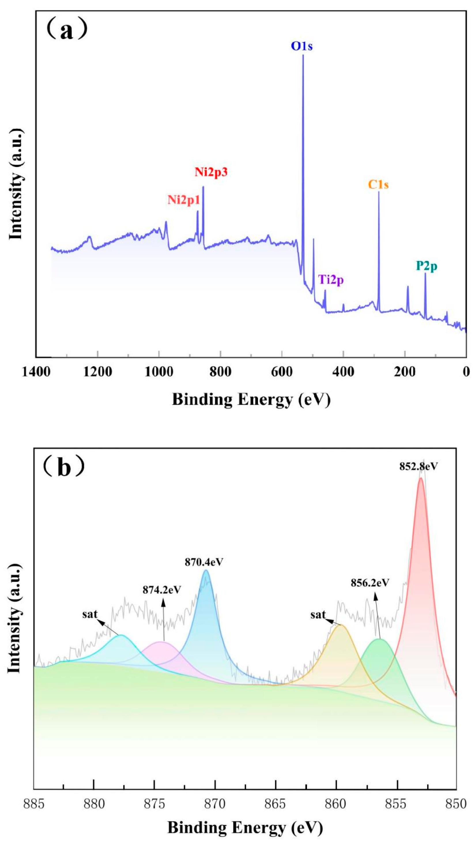 Coatings 14 01203 g007