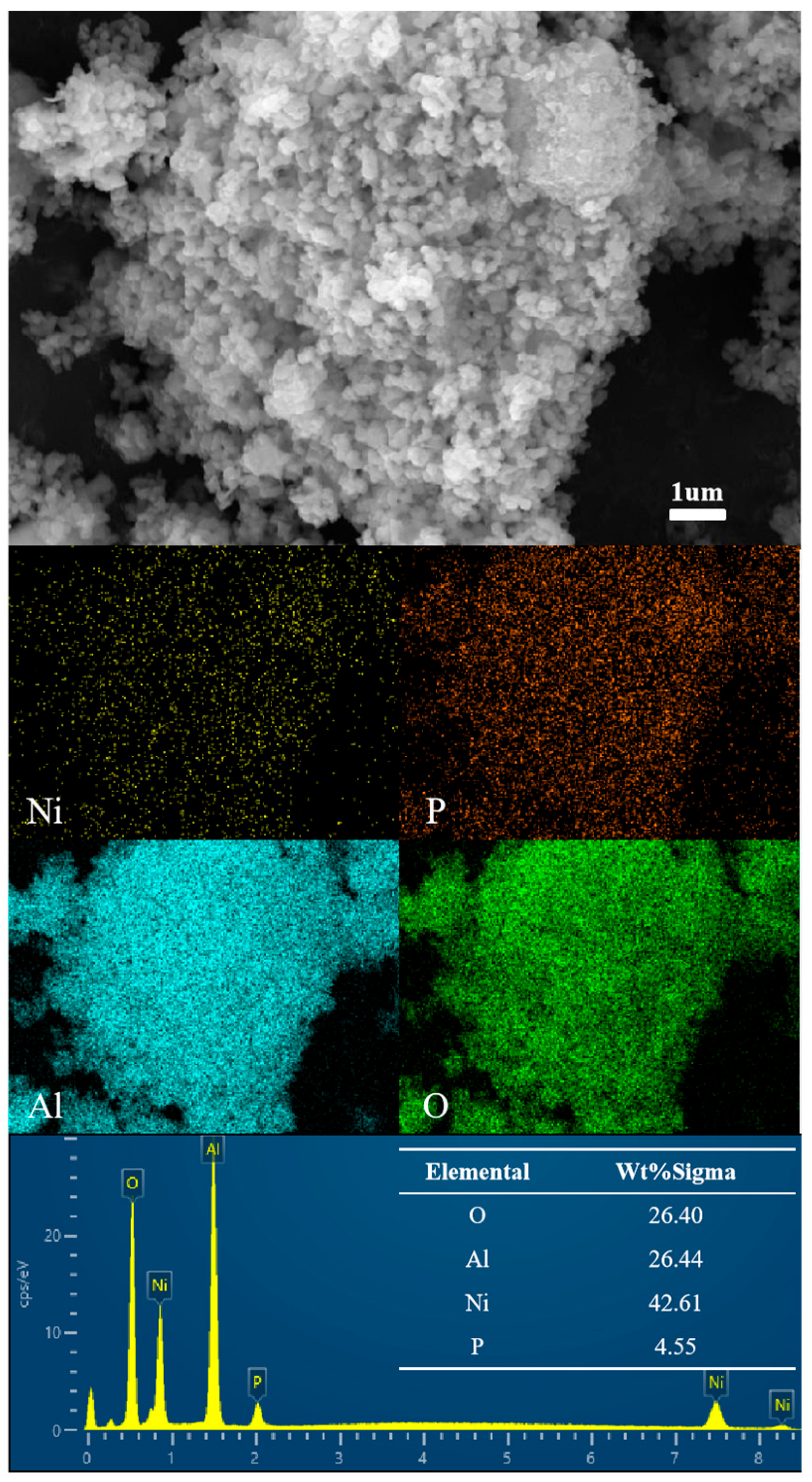Coatings 14 01203 g008