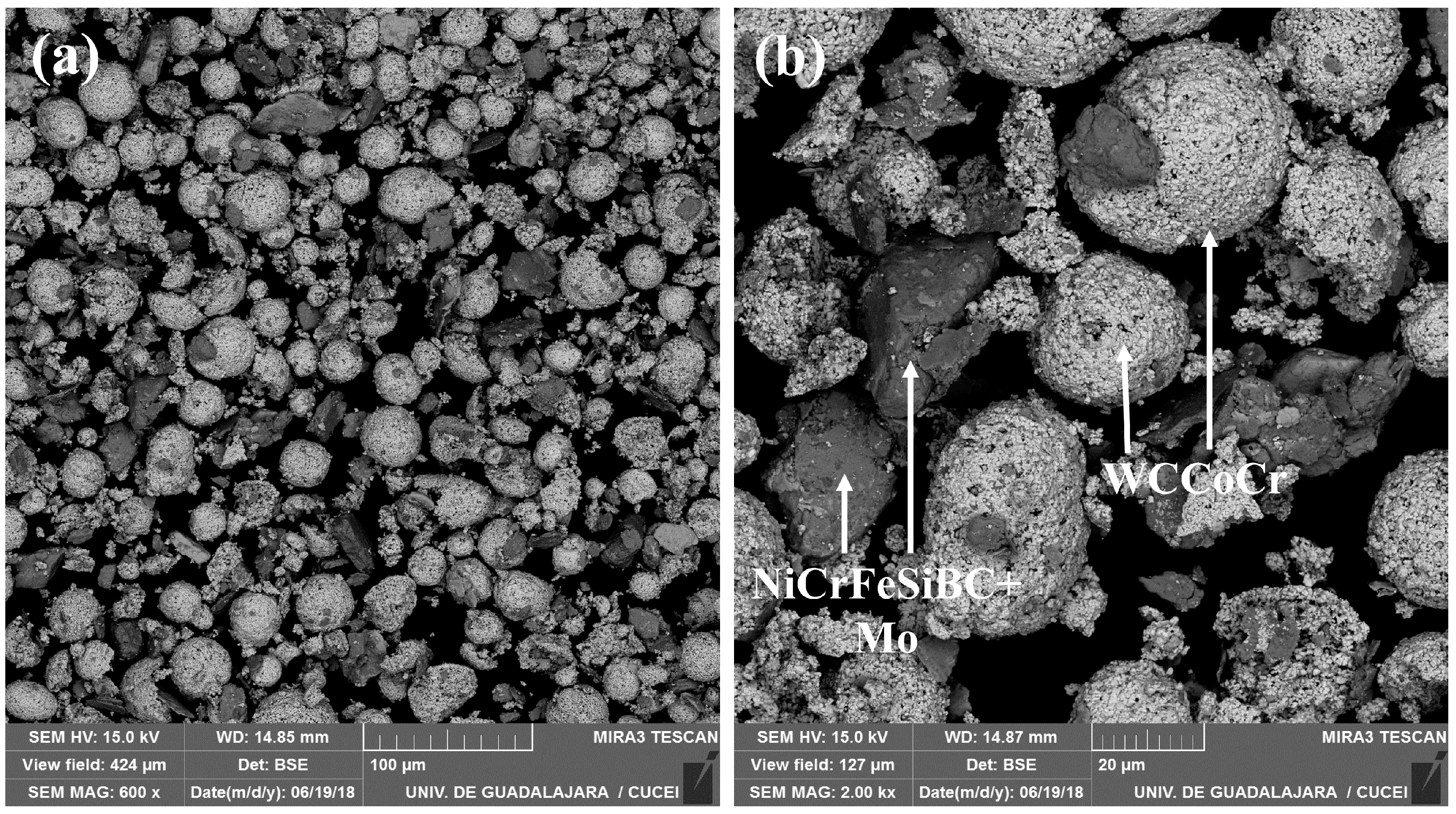 Coatings 14 01207 g001