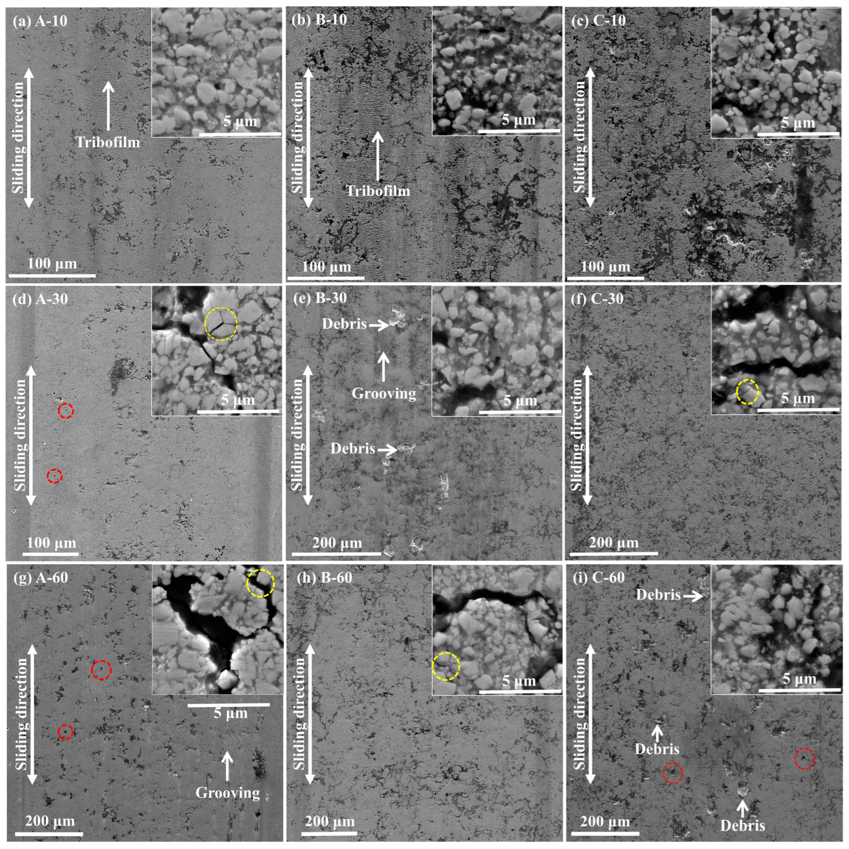 Coatings 14 01207 g008