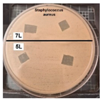 Coatings 14 01211 i002