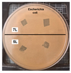 Coatings 14 01211 i003