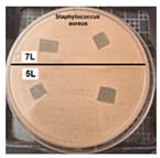 Coatings 14 01211 i004