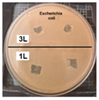 Coatings 14 01211 i005