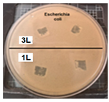 Coatings 14 01211 i007
