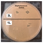 Coatings 14 01211 i008