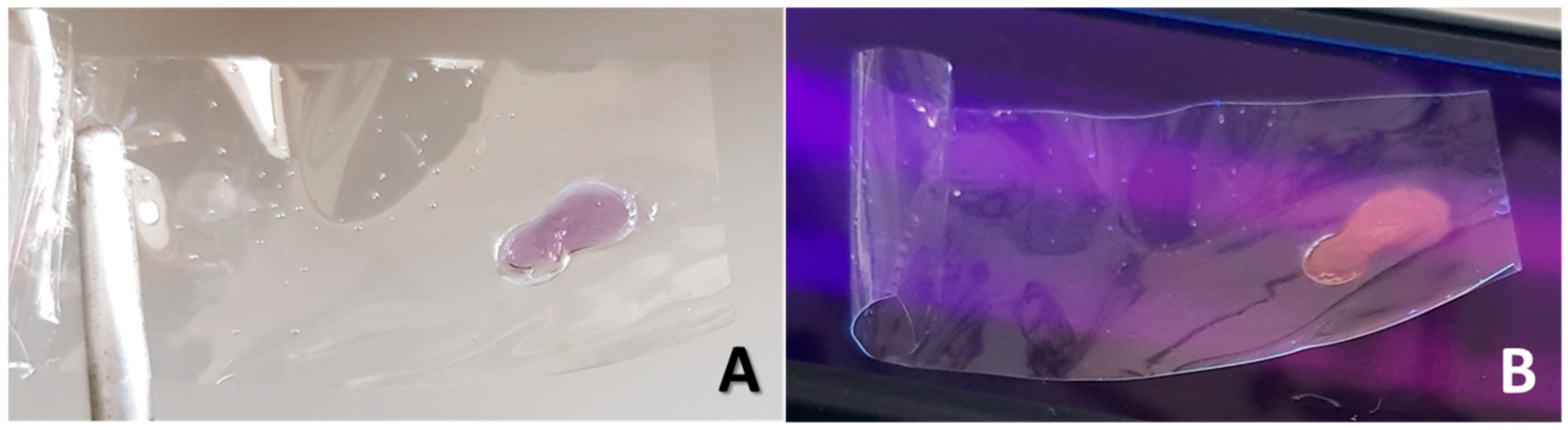 Coatings 14 01216 g002
