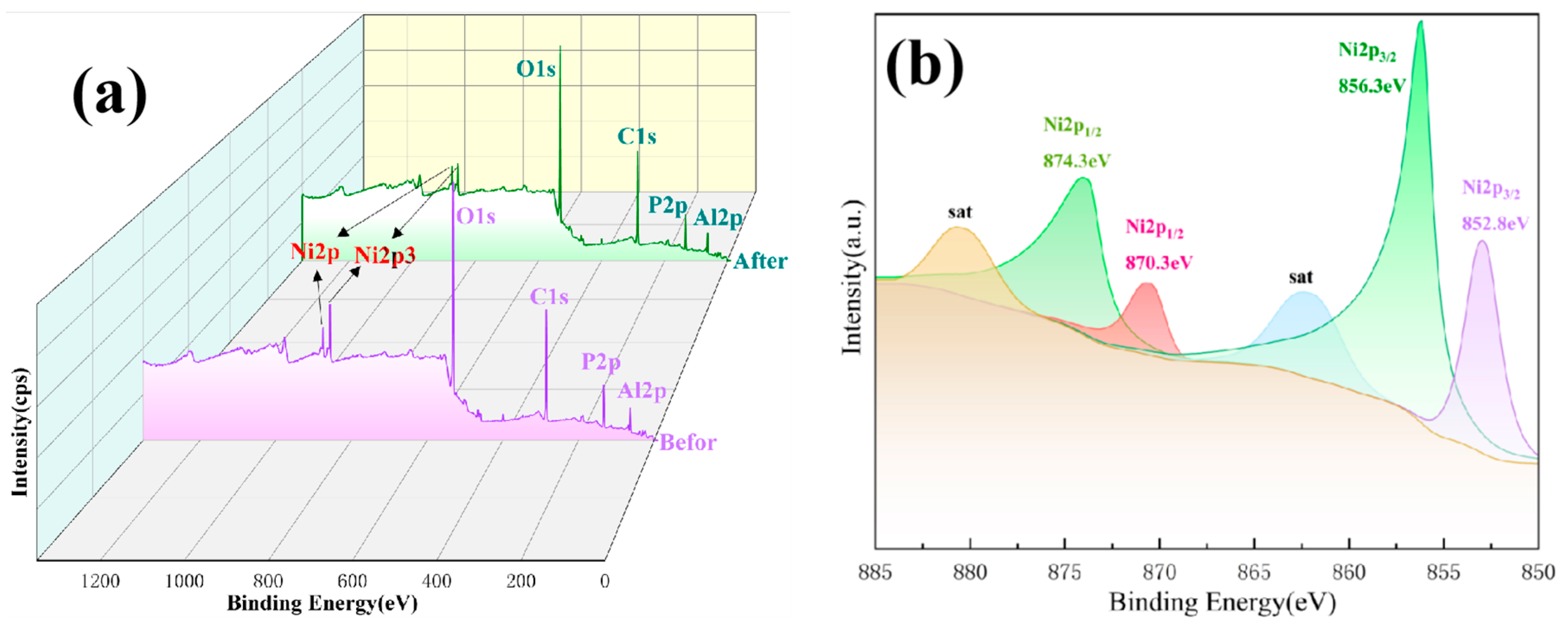 Coatings 14 01221 g006