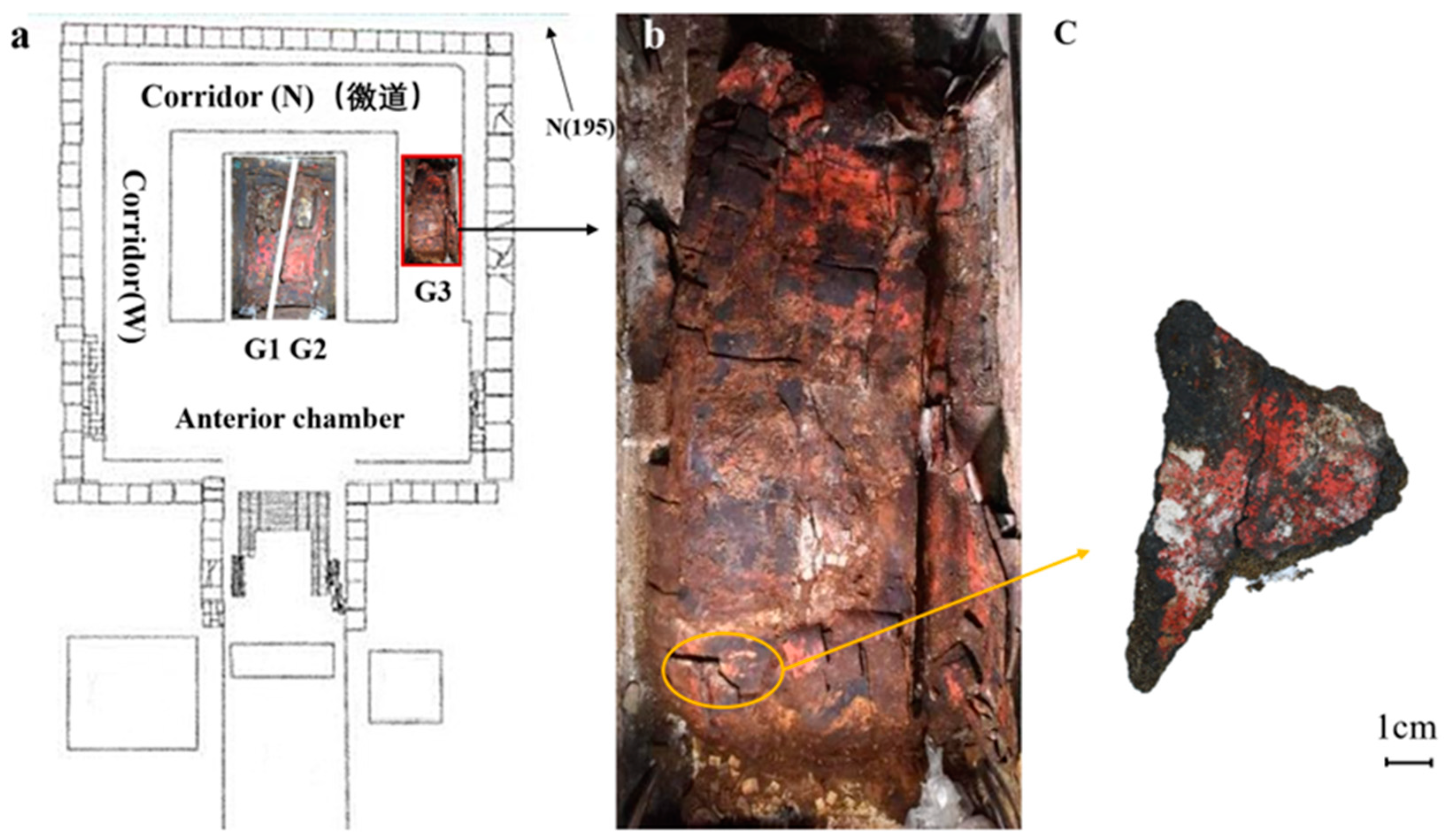 Coatings 14 01222 g002