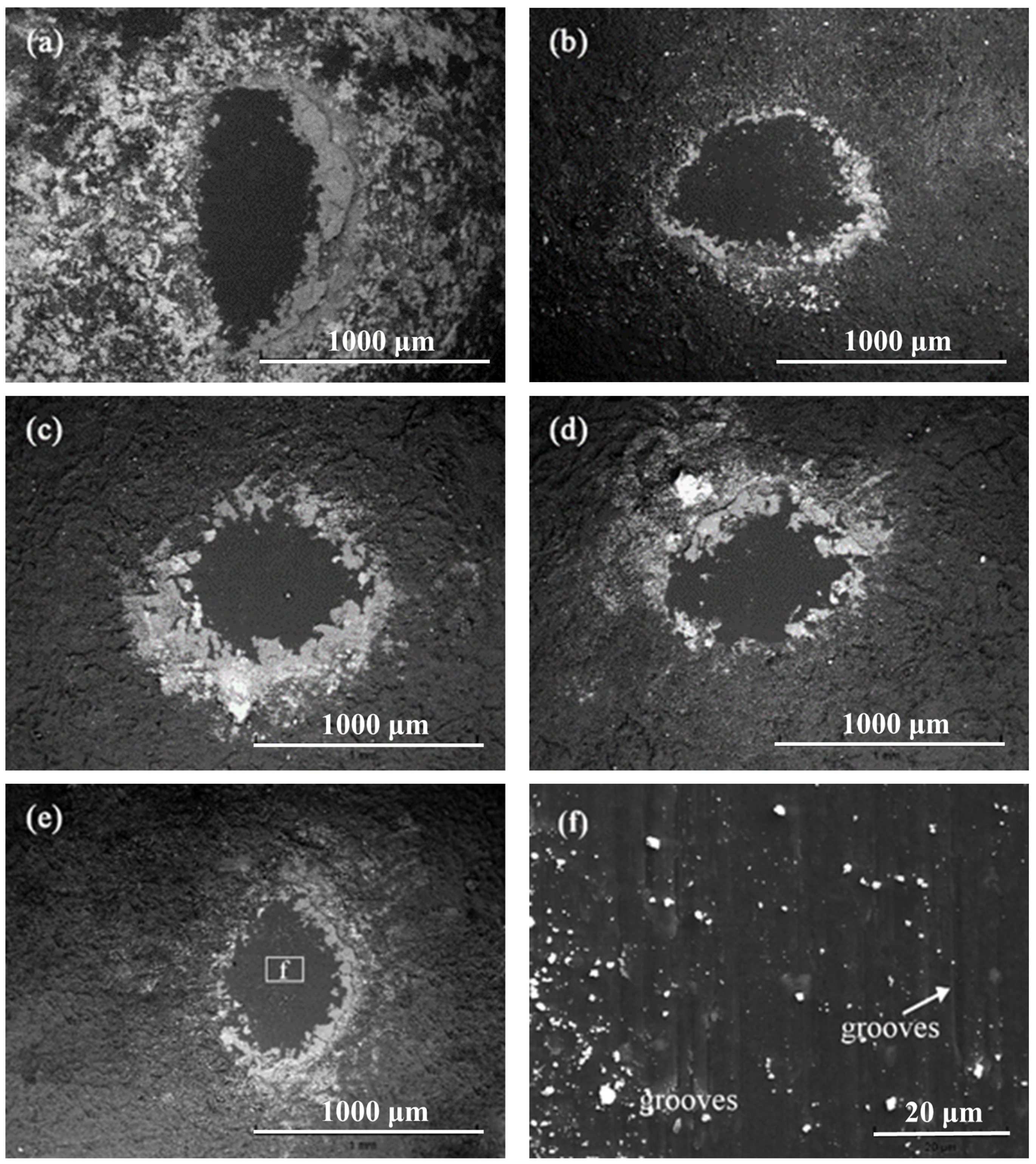 Coatings 14 01224 g007