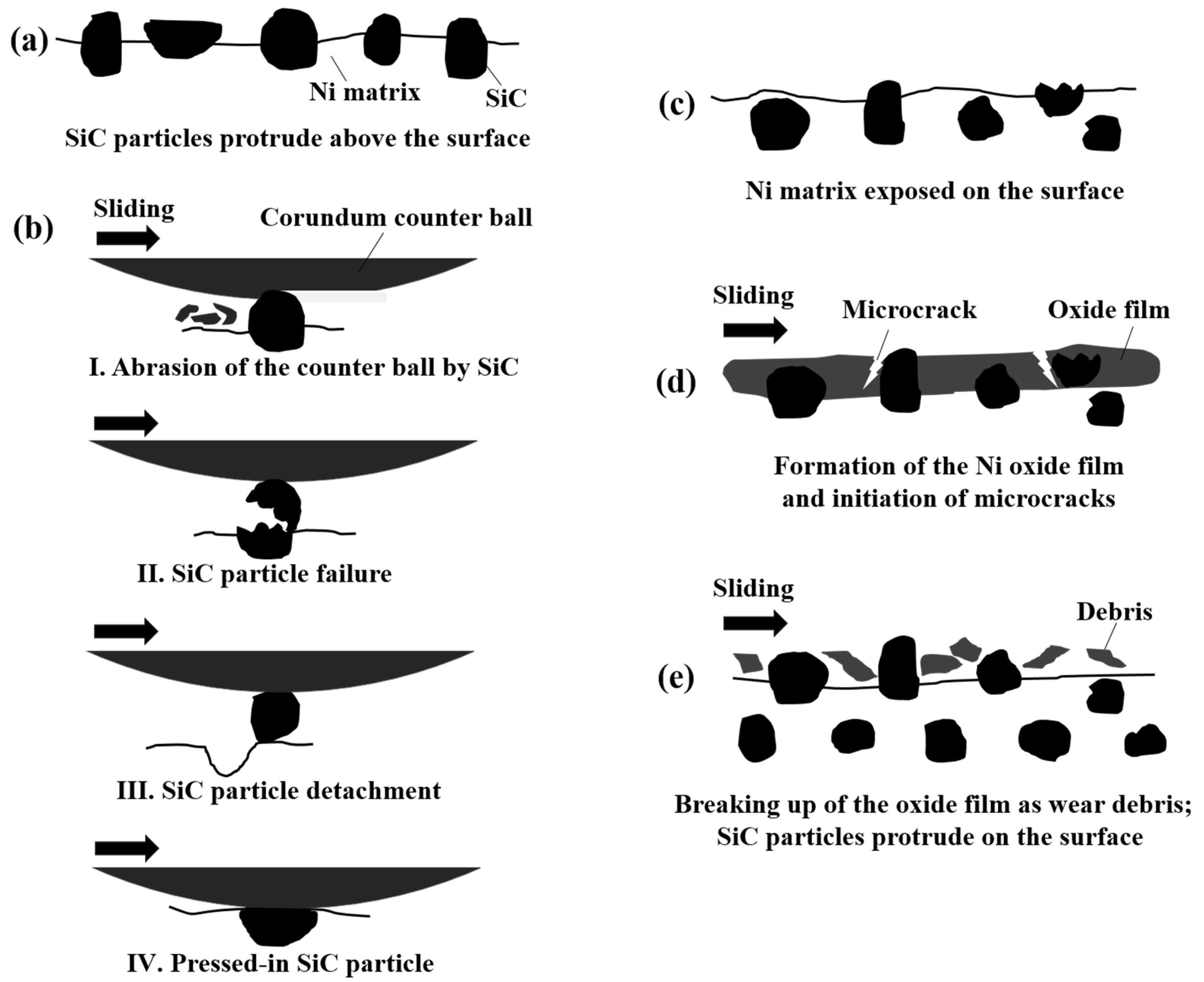 Coatings 14 01224 g011