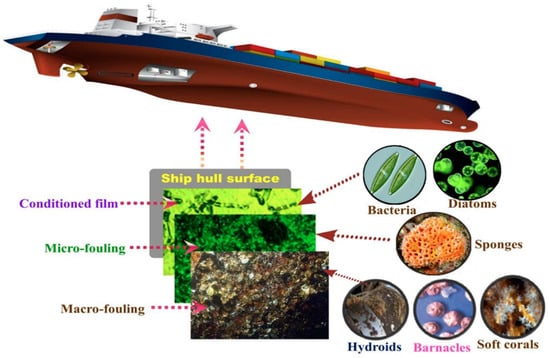 Coatings 14 01227 g001