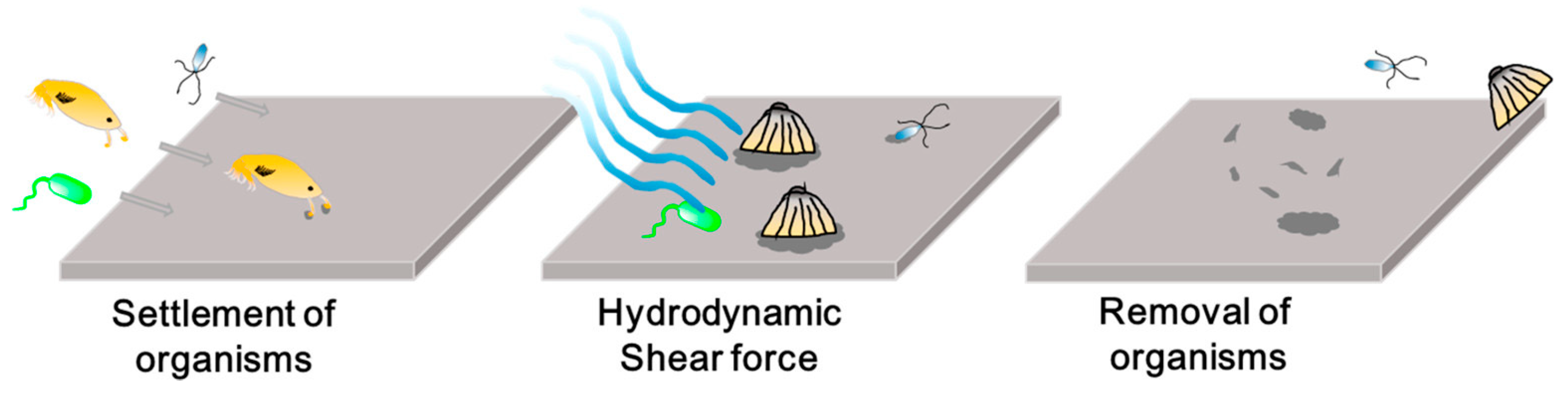 Coatings 14 01227 g006