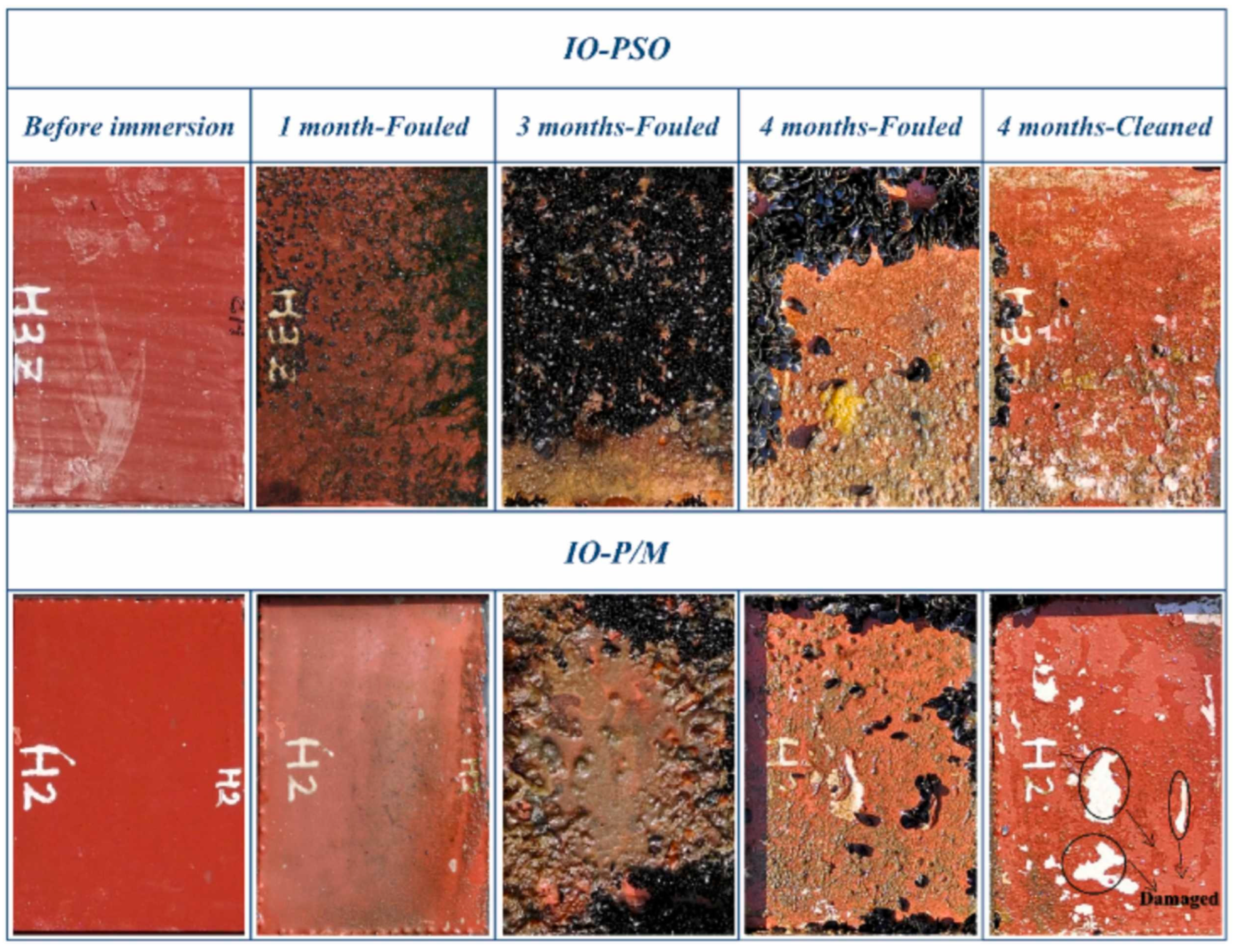 Coatings 14 01227 g009
