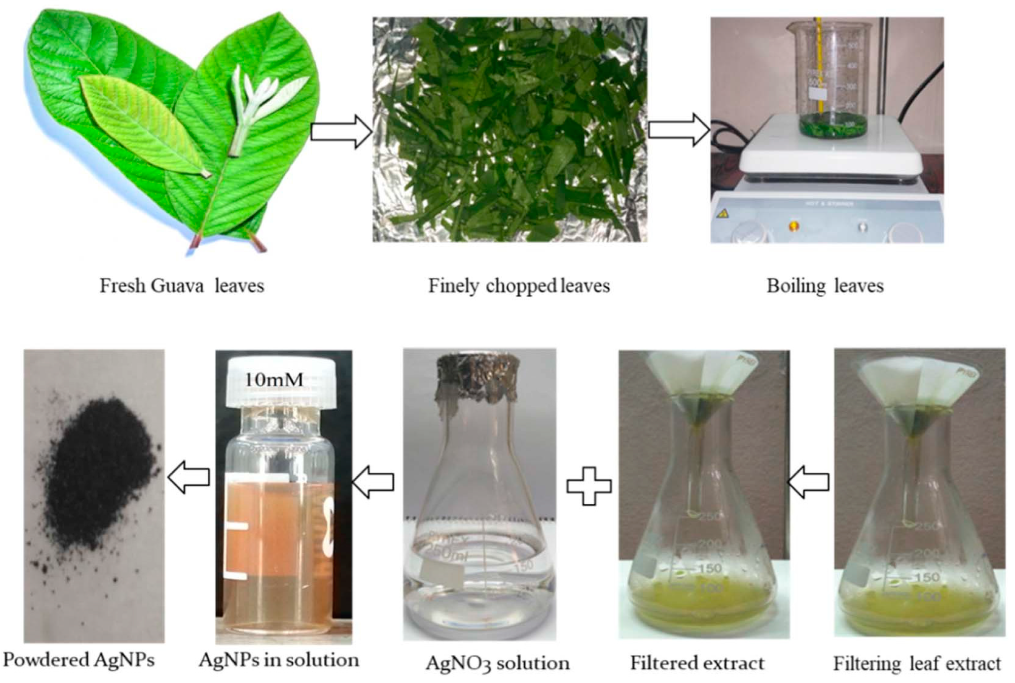 Coatings 14 01227 g016