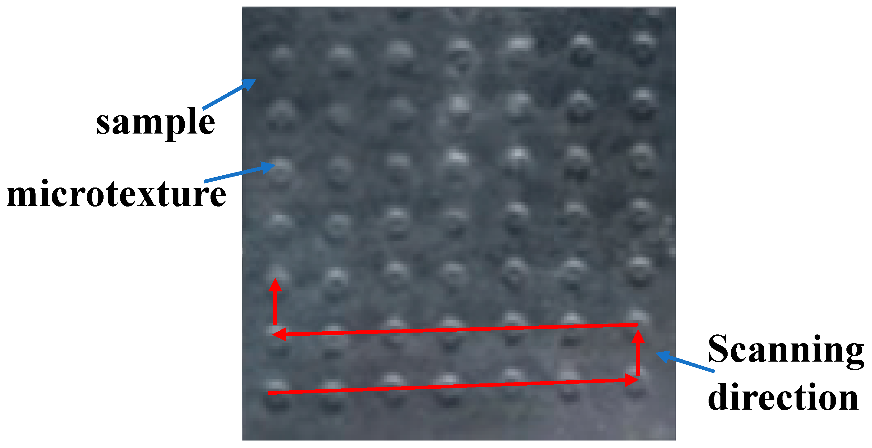 Coatings 14 01230 g003