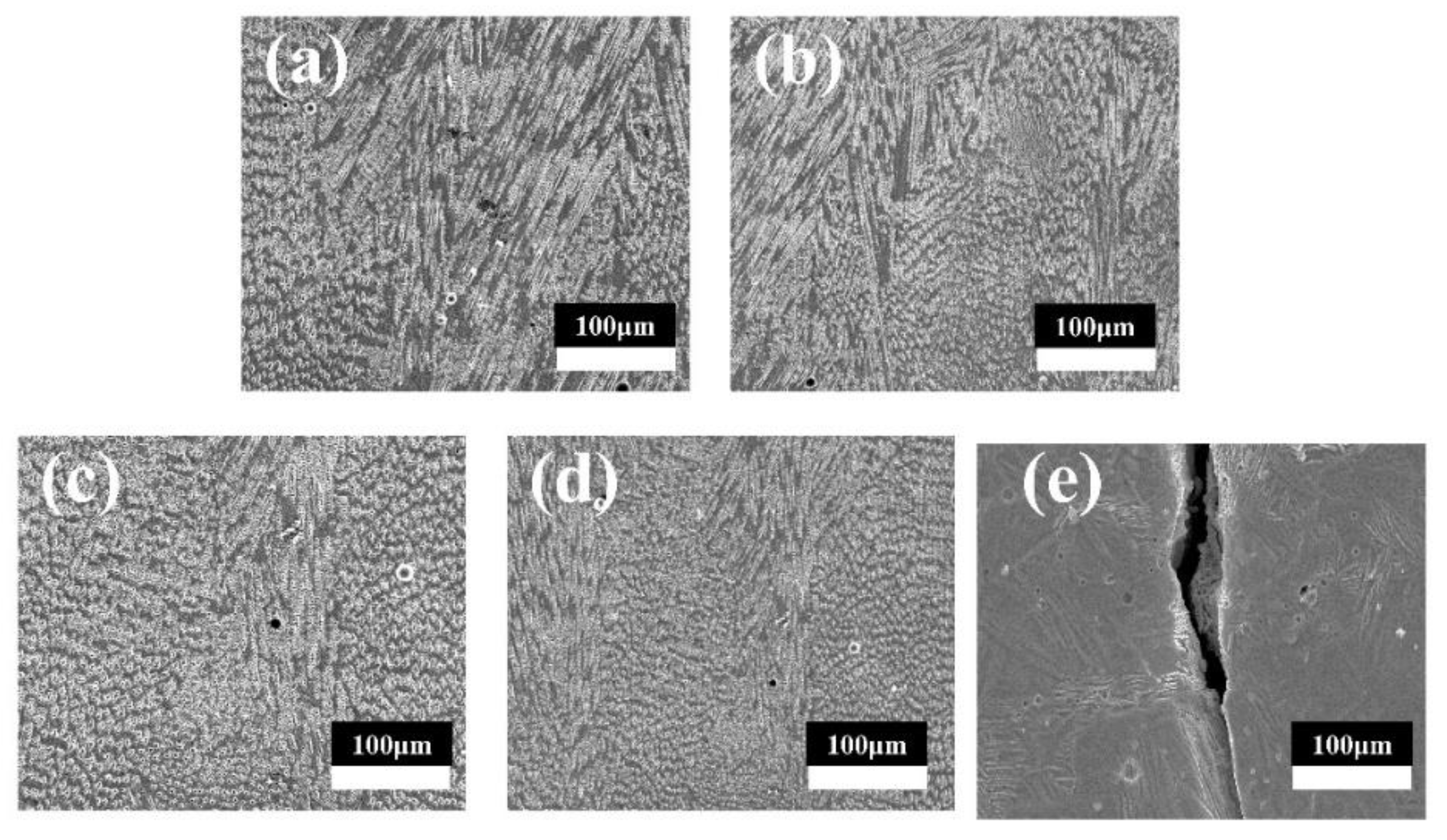 Coatings 14 01235 g008