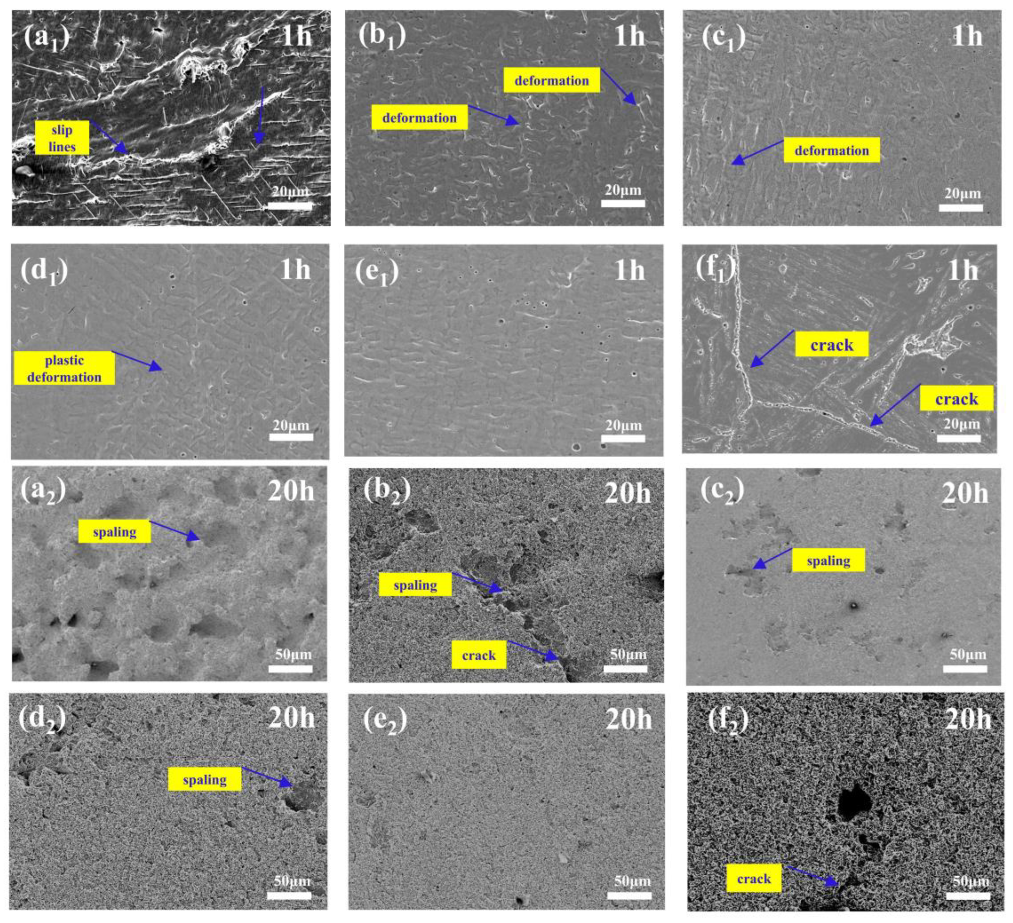 Coatings 14 01235 g013