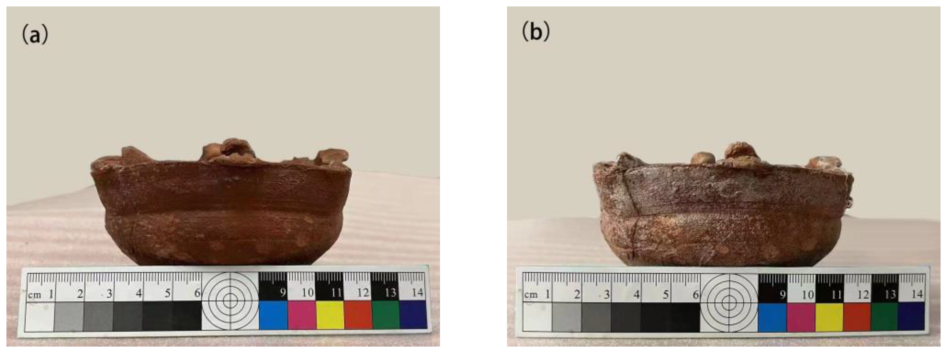 Coatings 14 01240 g001