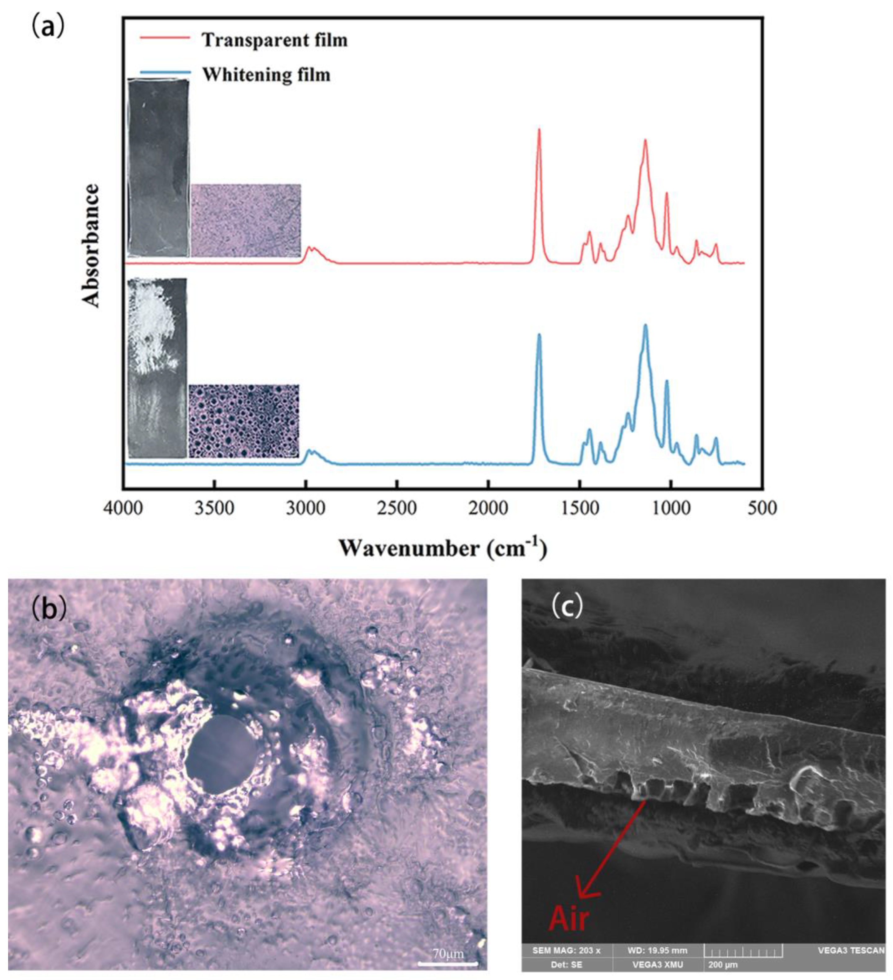 Coatings 14 01240 g002
