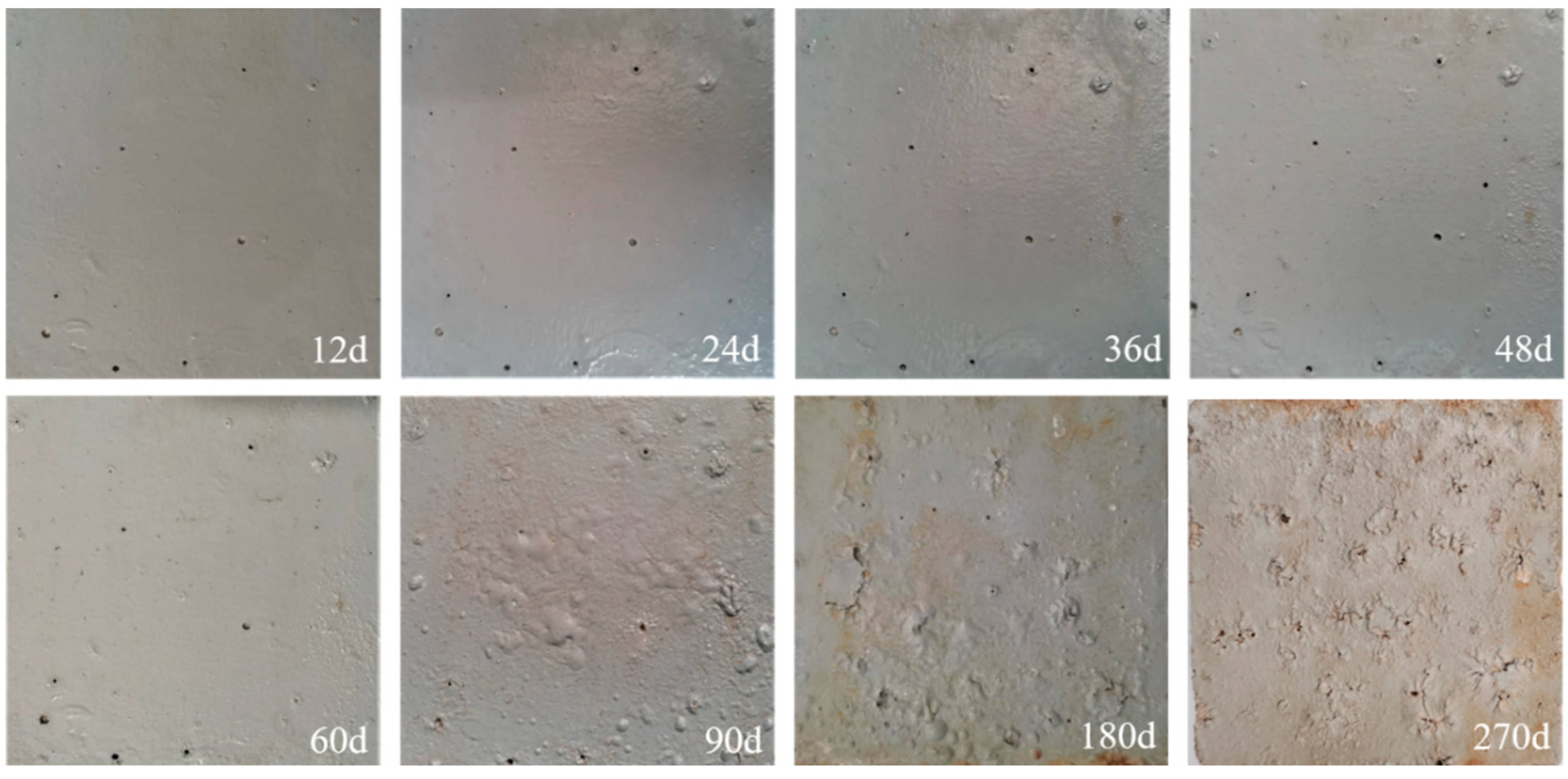 Coatings 14 01249 g006