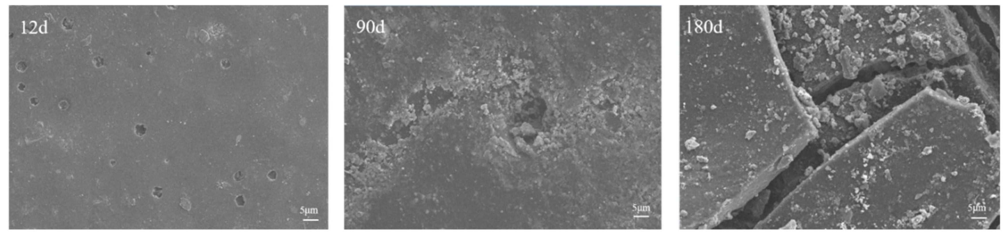 Coatings 14 01249 g008