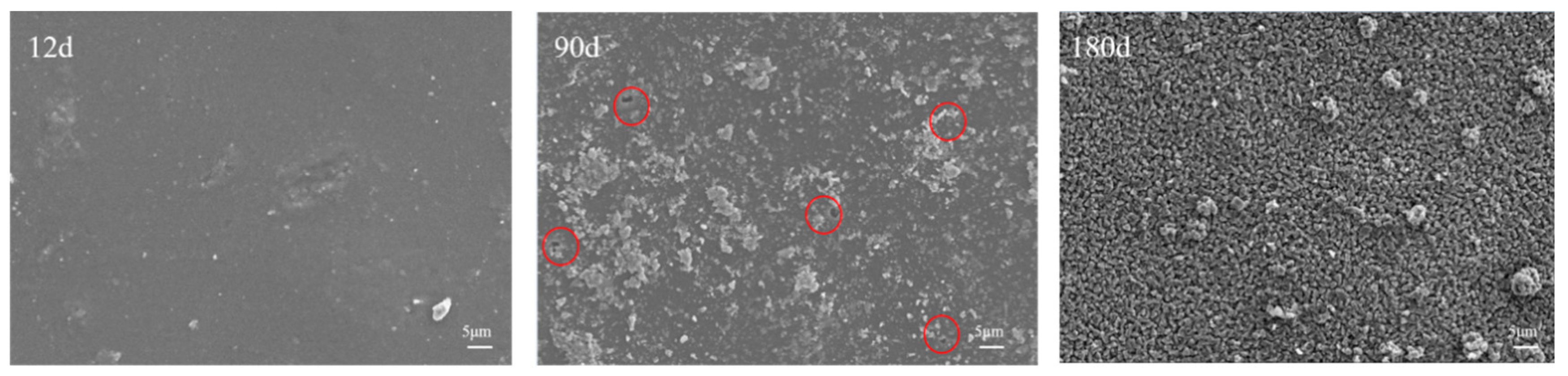 Coatings 14 01249 g009