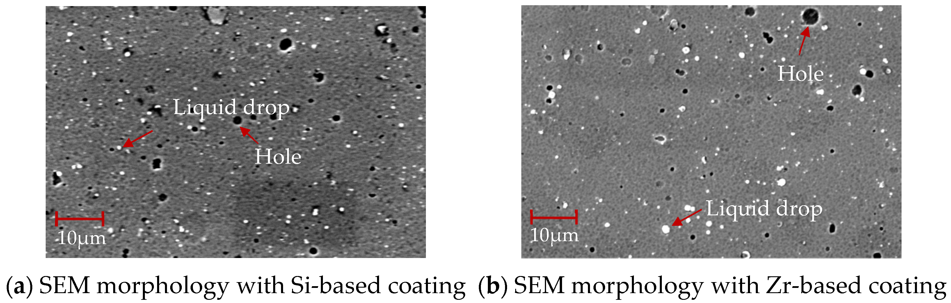 Coatings 14 01255 g012