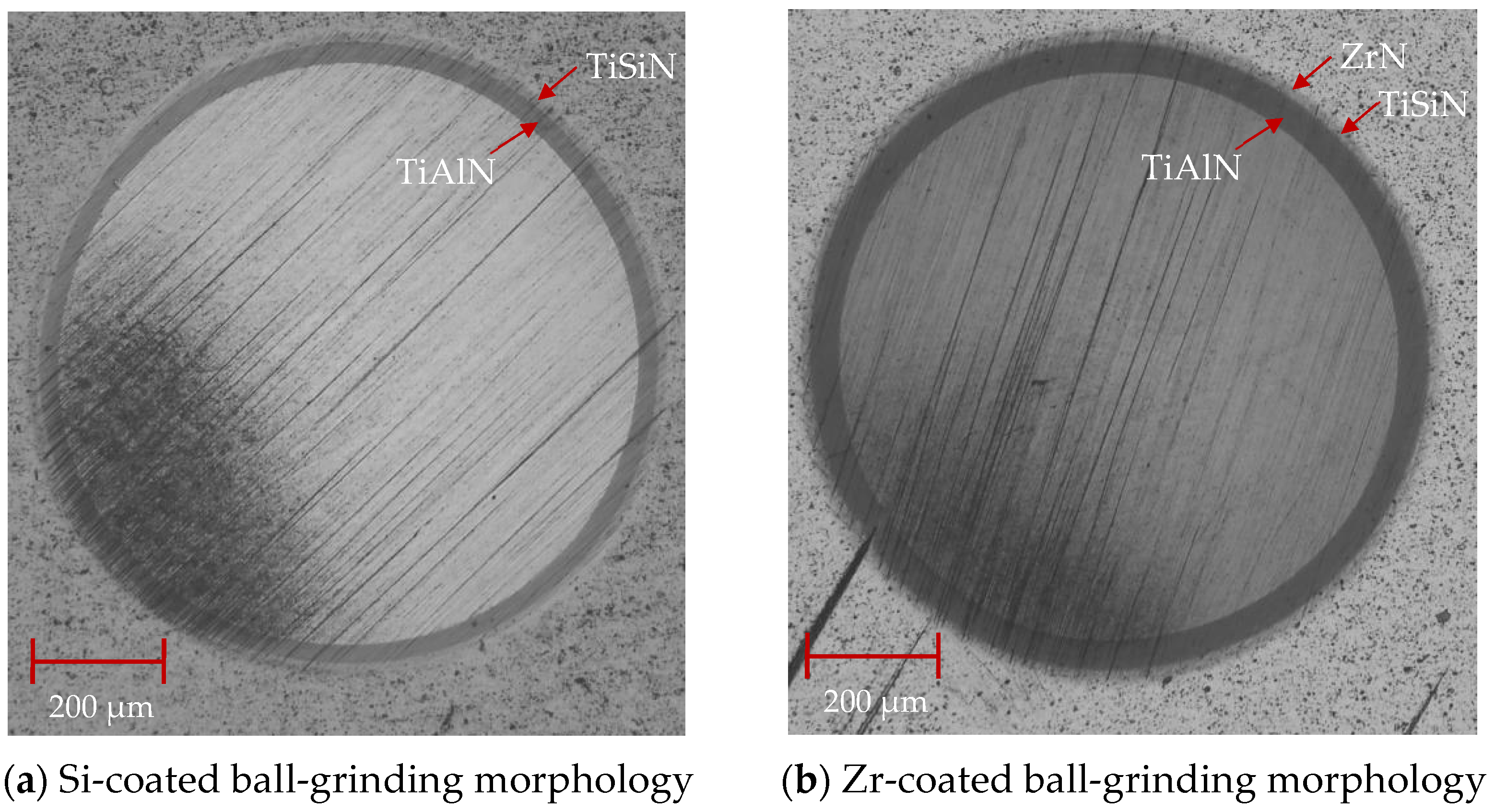 Coatings 14 01255 g014